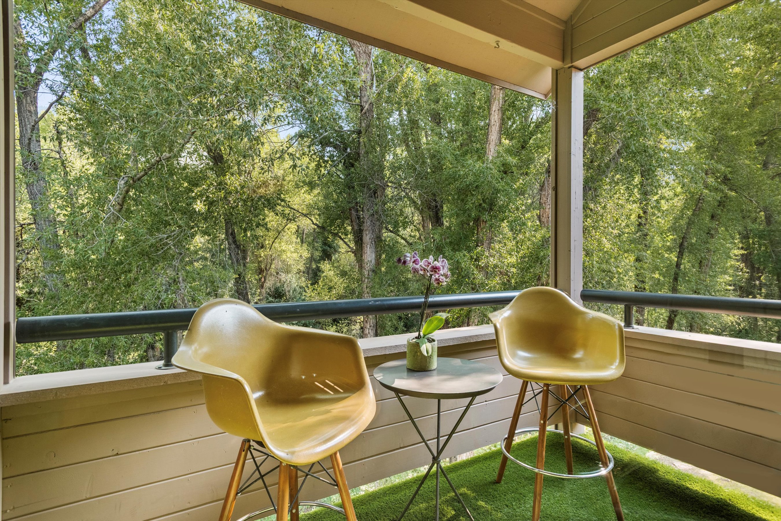  332 Vine Street, Aspen, CO, 81611 - 物件實景