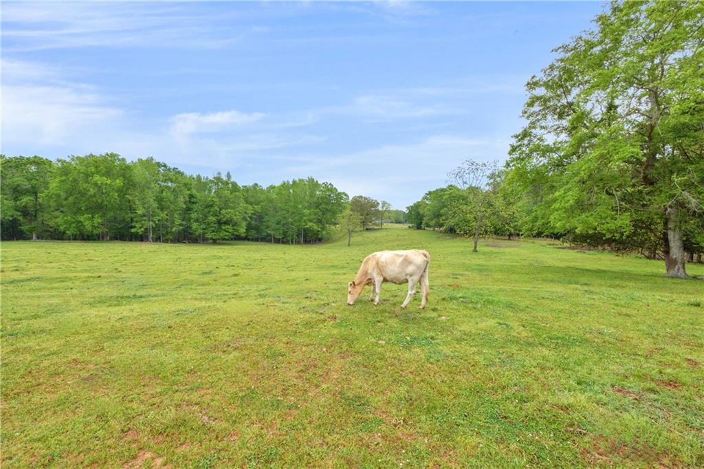 Shiloh, Georgia, 31826, United States, 3 Bedrooms Bedrooms, ,1 BathroomBathrooms,Land,For Sale,1974369