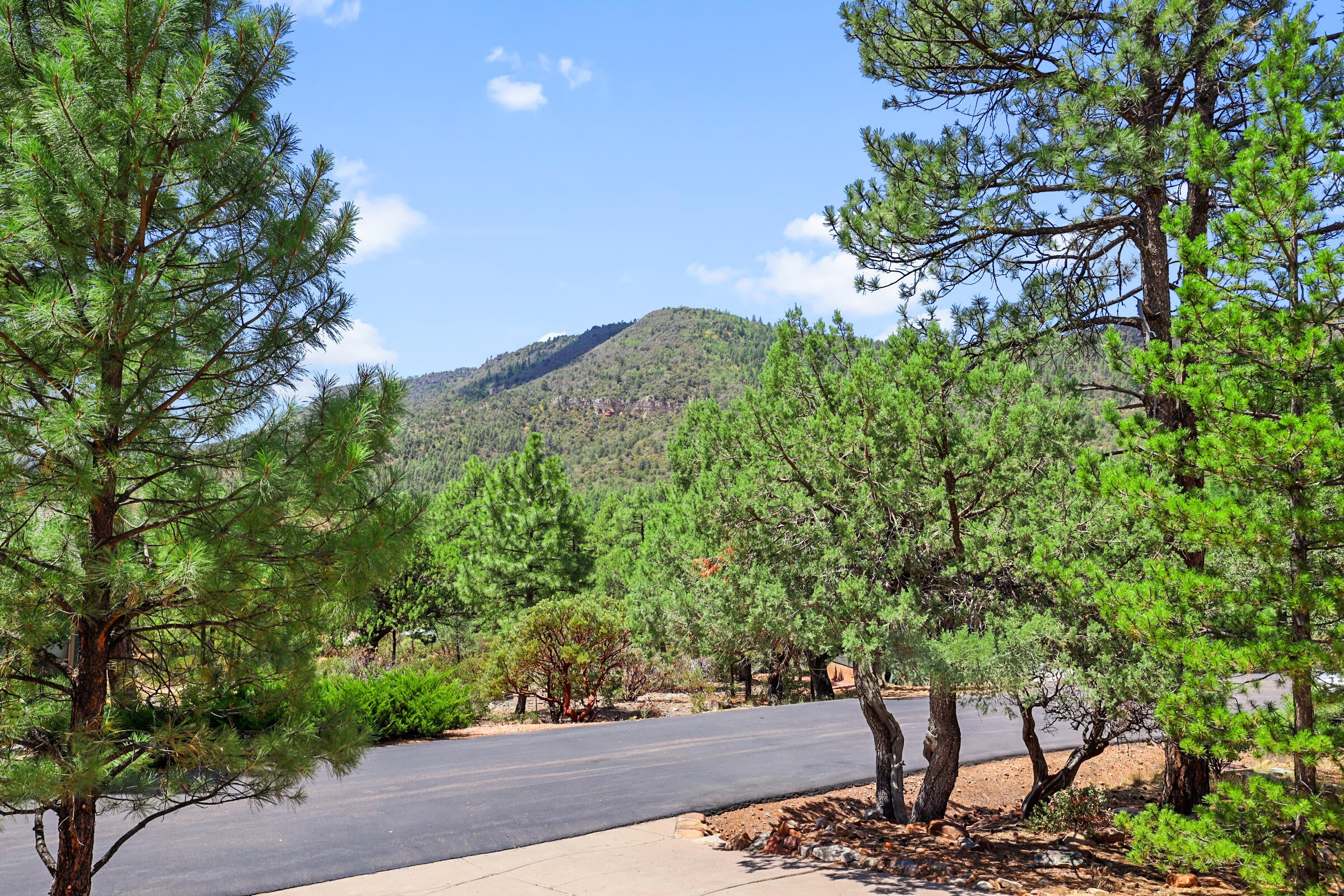 Pine, Arizona, 85544, United States, 2 Bedrooms Bedrooms, ,2 BathroomsBathrooms,Residential,For Sale,1917877