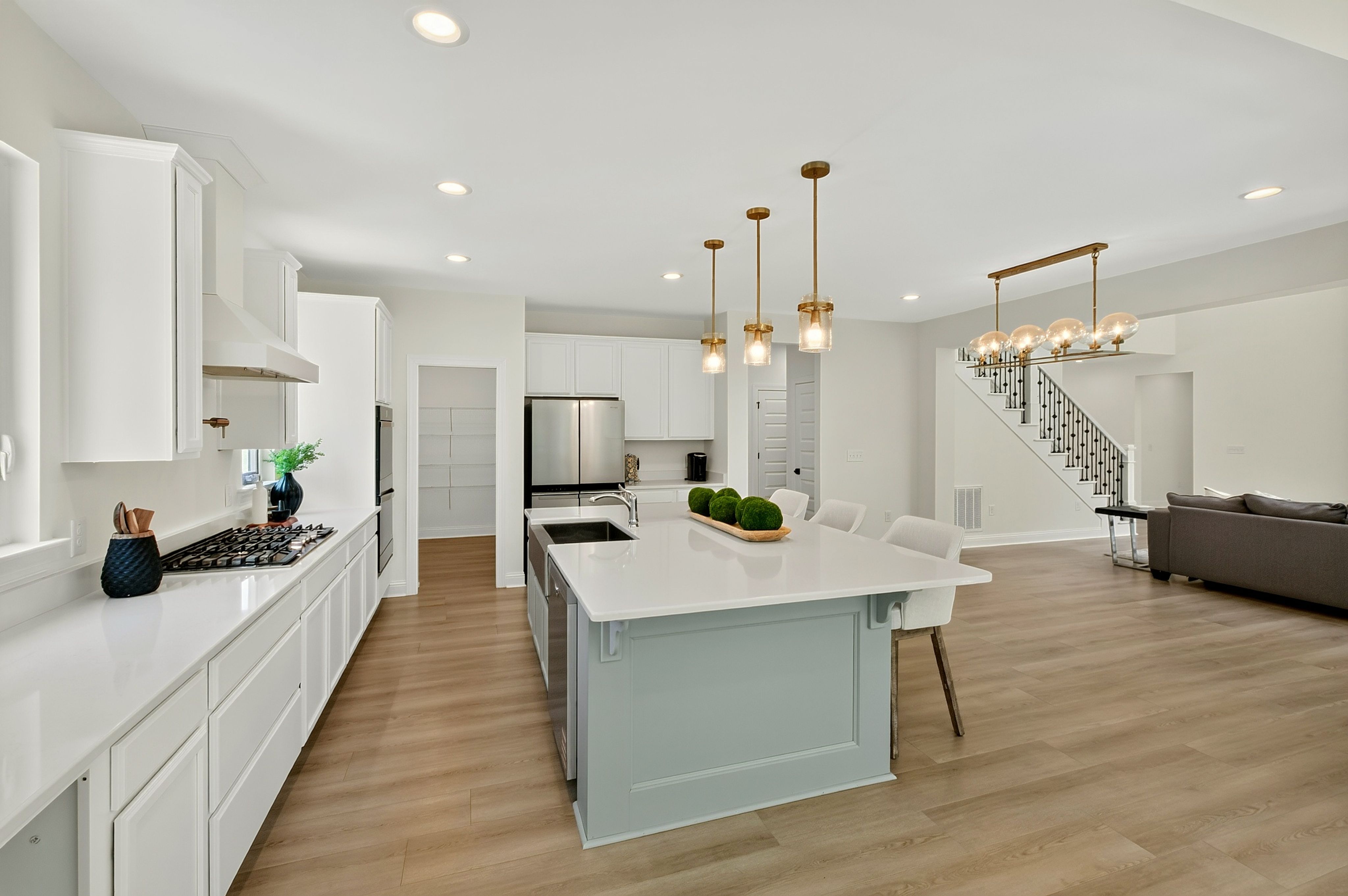  197 Silverside Drive, Angier, NC 27501 - 物件實景
