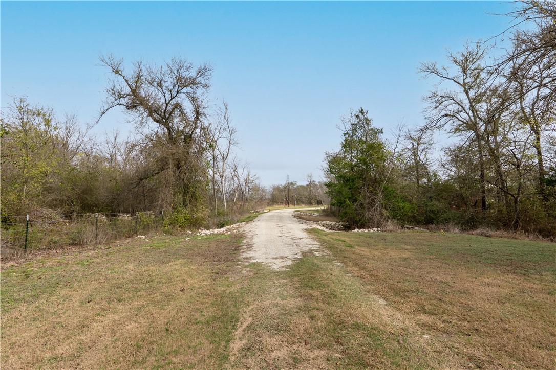 Thornton, Texas, 76687, United States, ,Land,For Sale,2003074