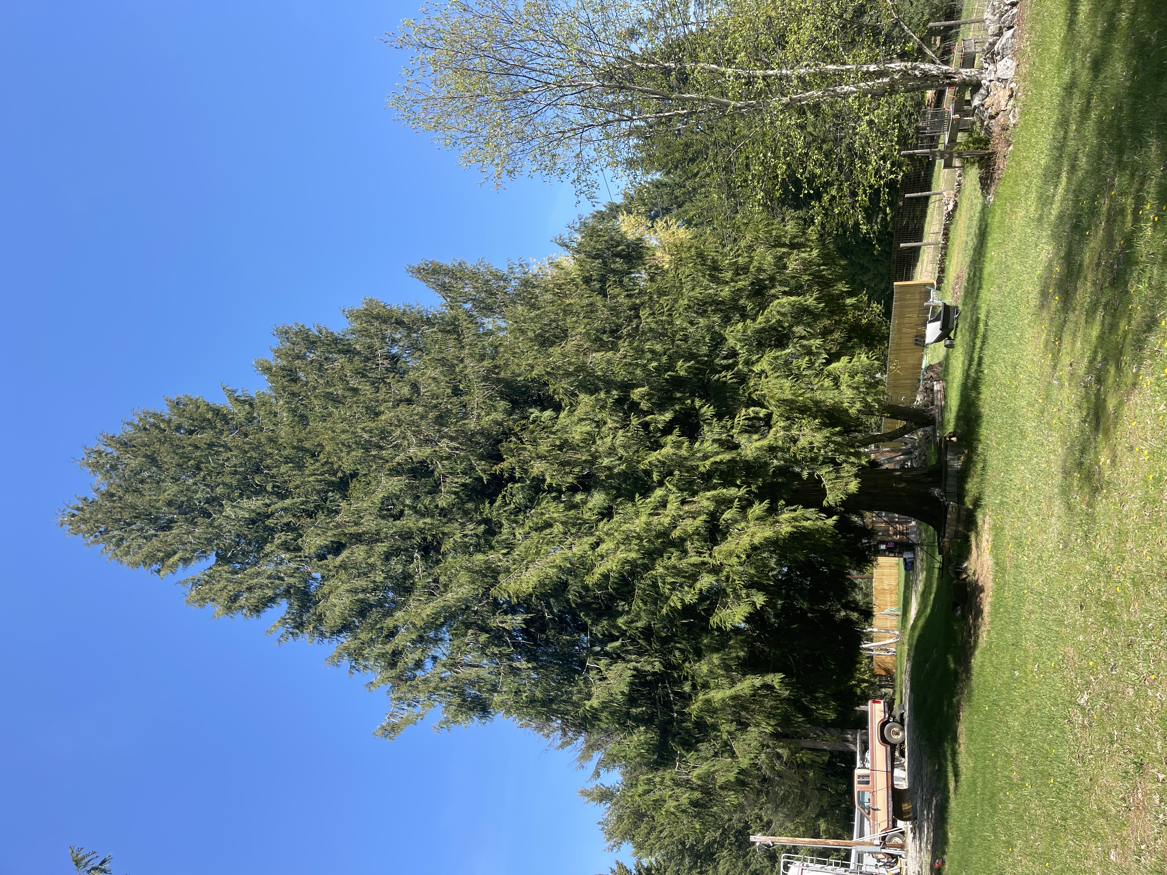 Sandpoint, Idaho, 83864, United States, 1 Bedroom Bedrooms, ,1 BathroomBathrooms,Residential,For Sale,1942790