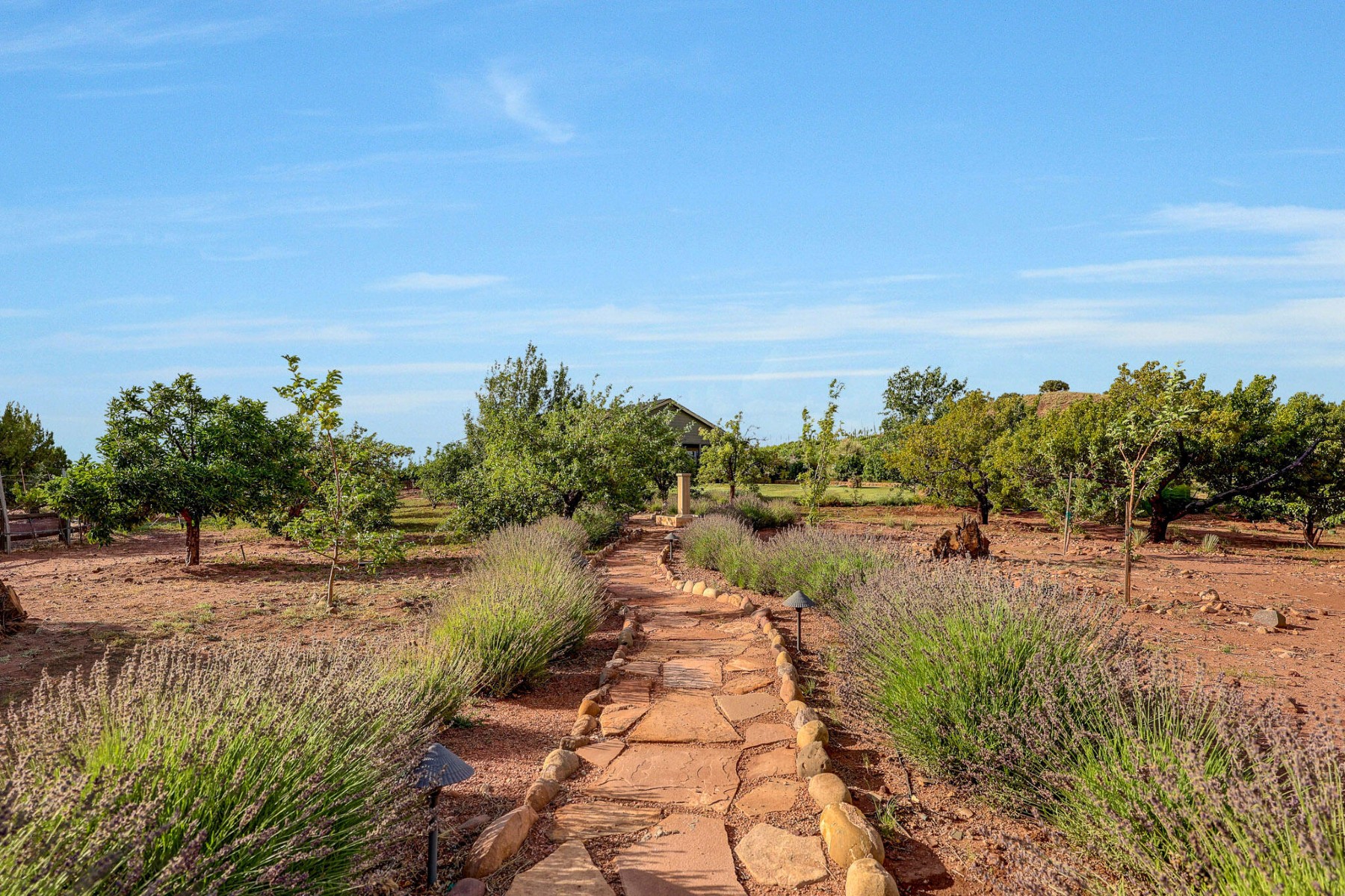  14 County Road 5309, Concho, AZ 85924 - 物件實景