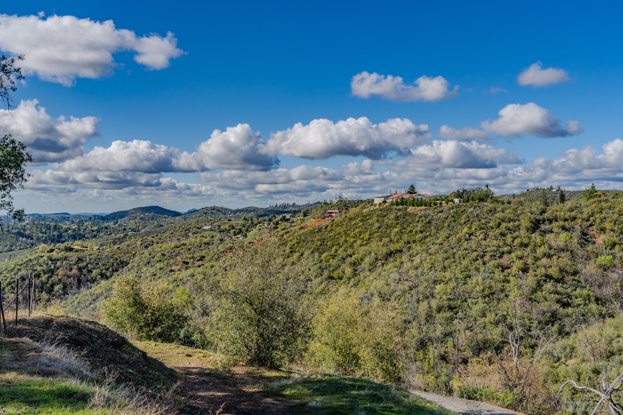  9515 Ham Luddy Road, Mountain Ranch, CA 95246 - 物件實景
