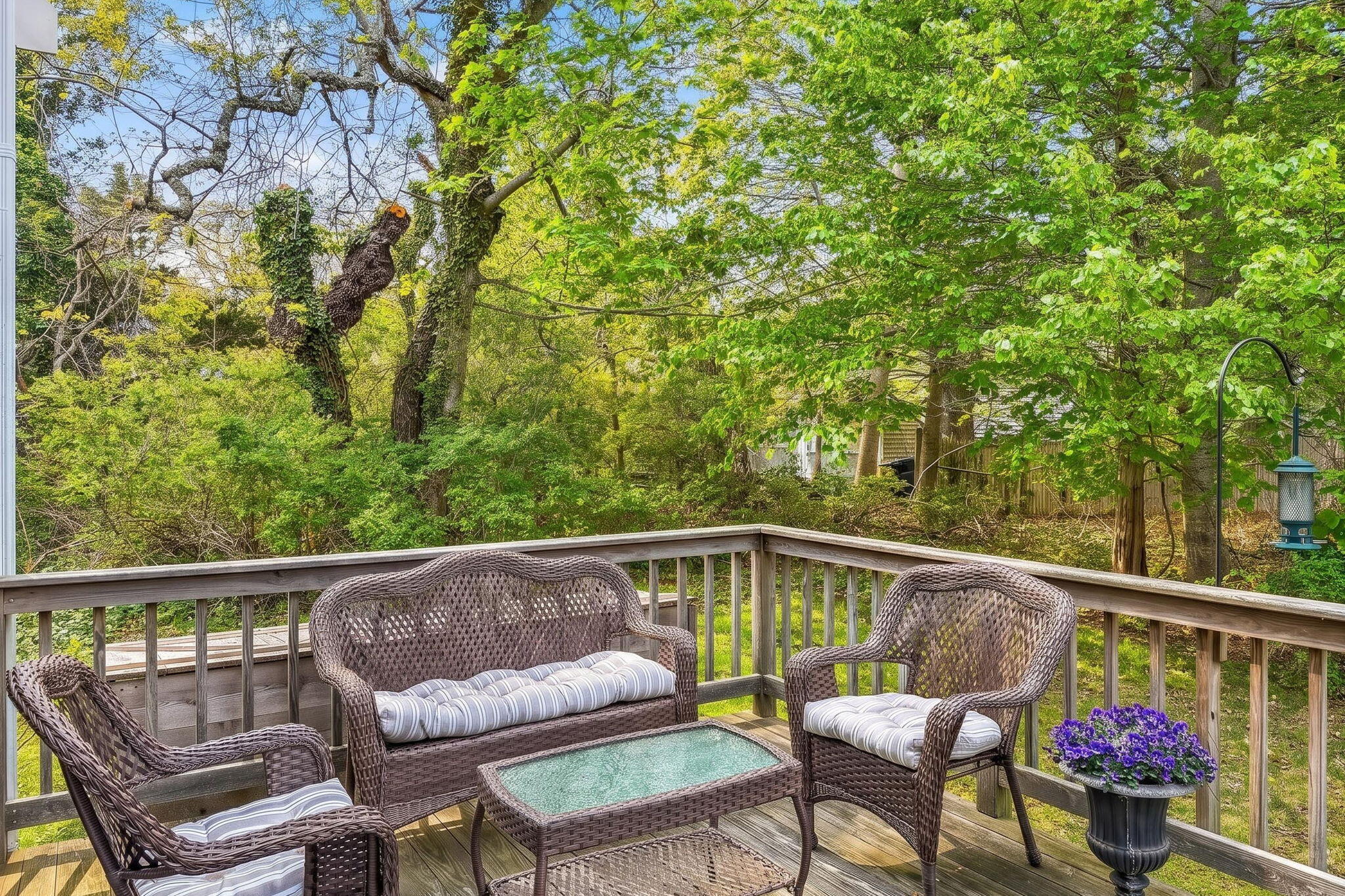  14 Chase Lane, Orleans, MA, 02653 - 物件實景