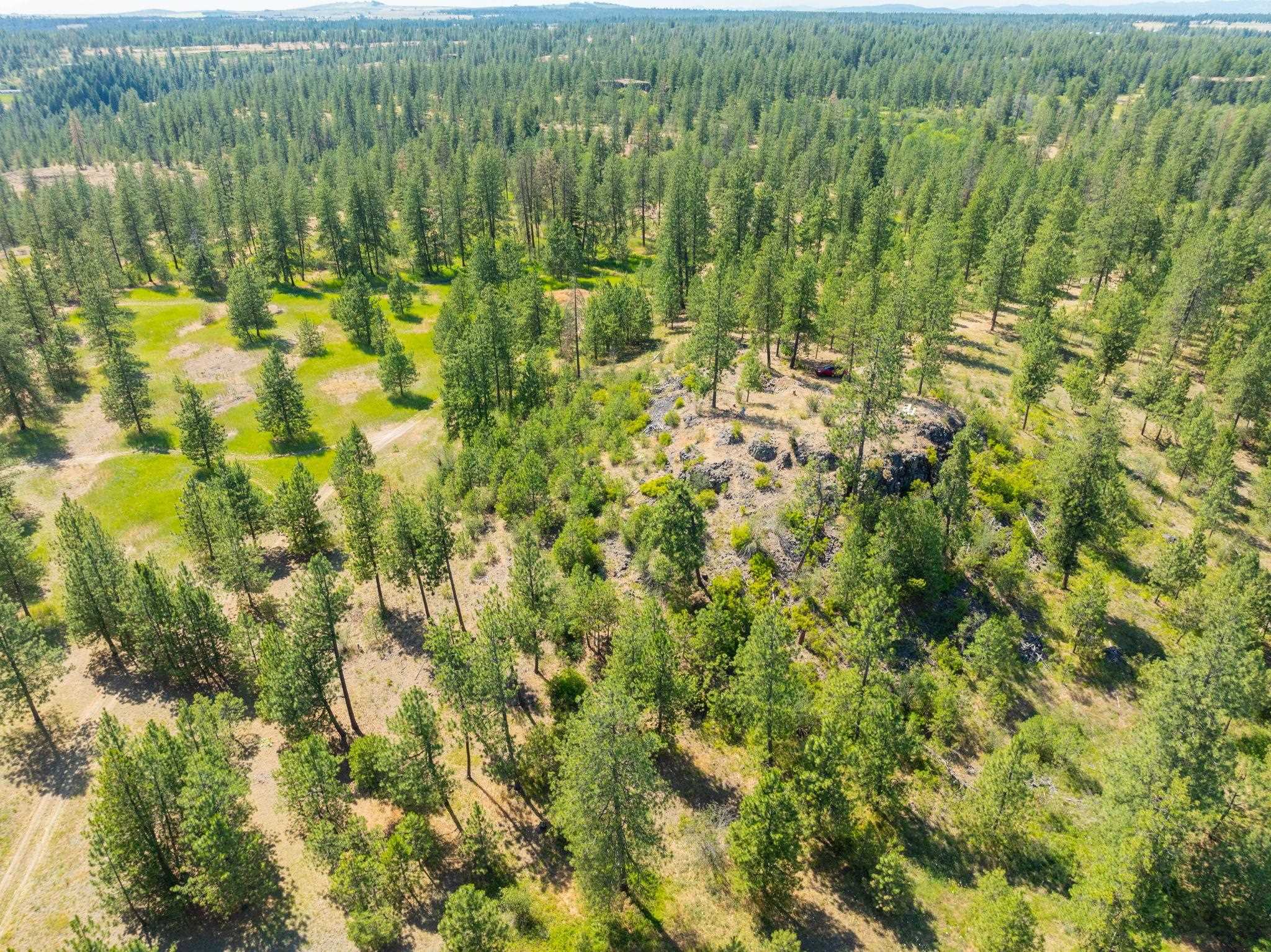 Nine Mile Falls, Washington, 99026, United States, ,Land,For Sale,1960887