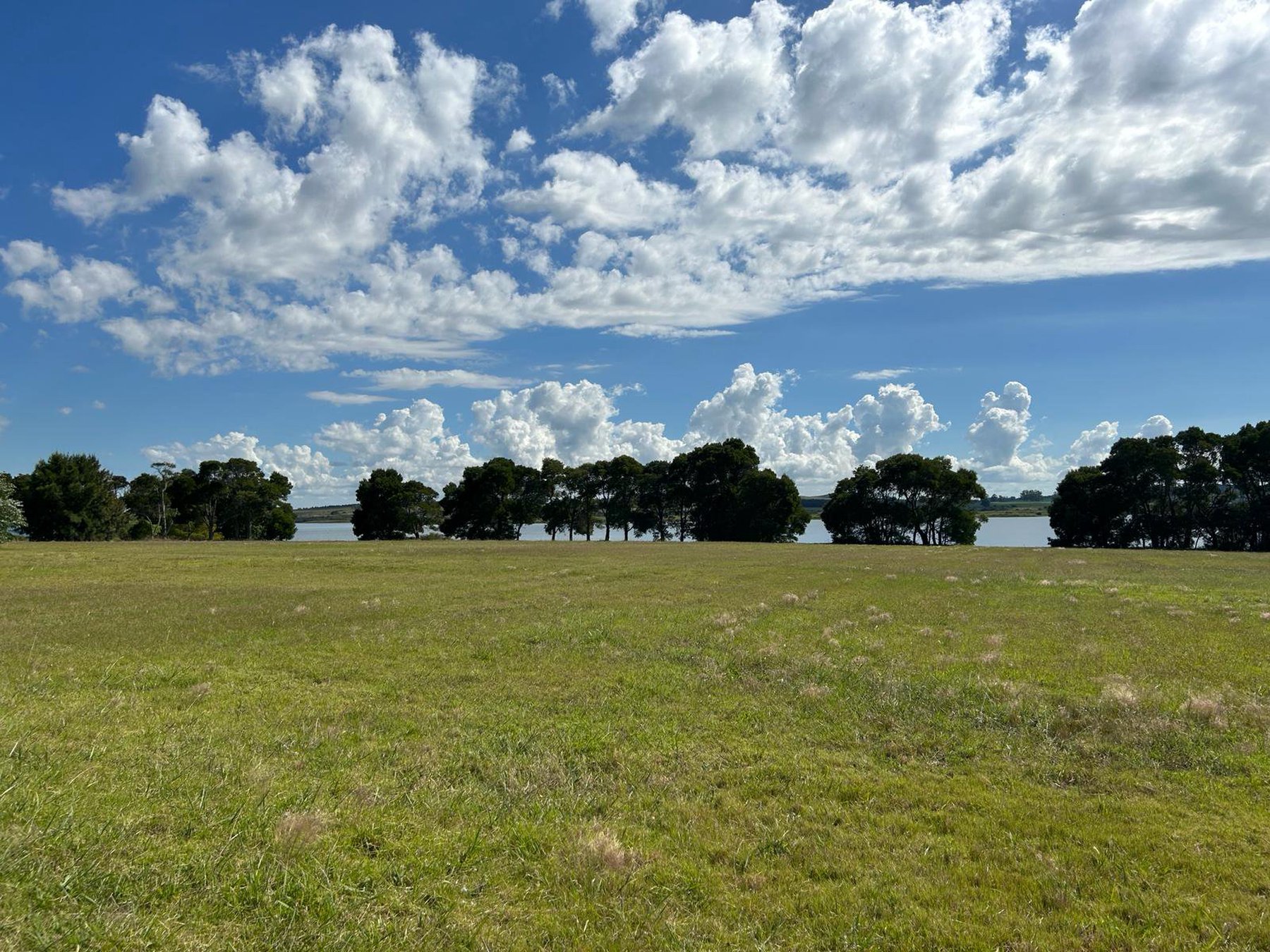  Exclusive lot on Laguna del Sauce. - 物件實景