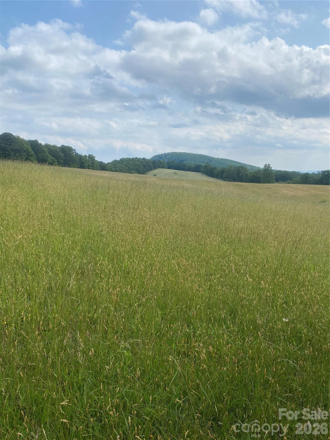 Hendersonville, North Carolina, 28792, United States, ,Land,For Sale,2010421