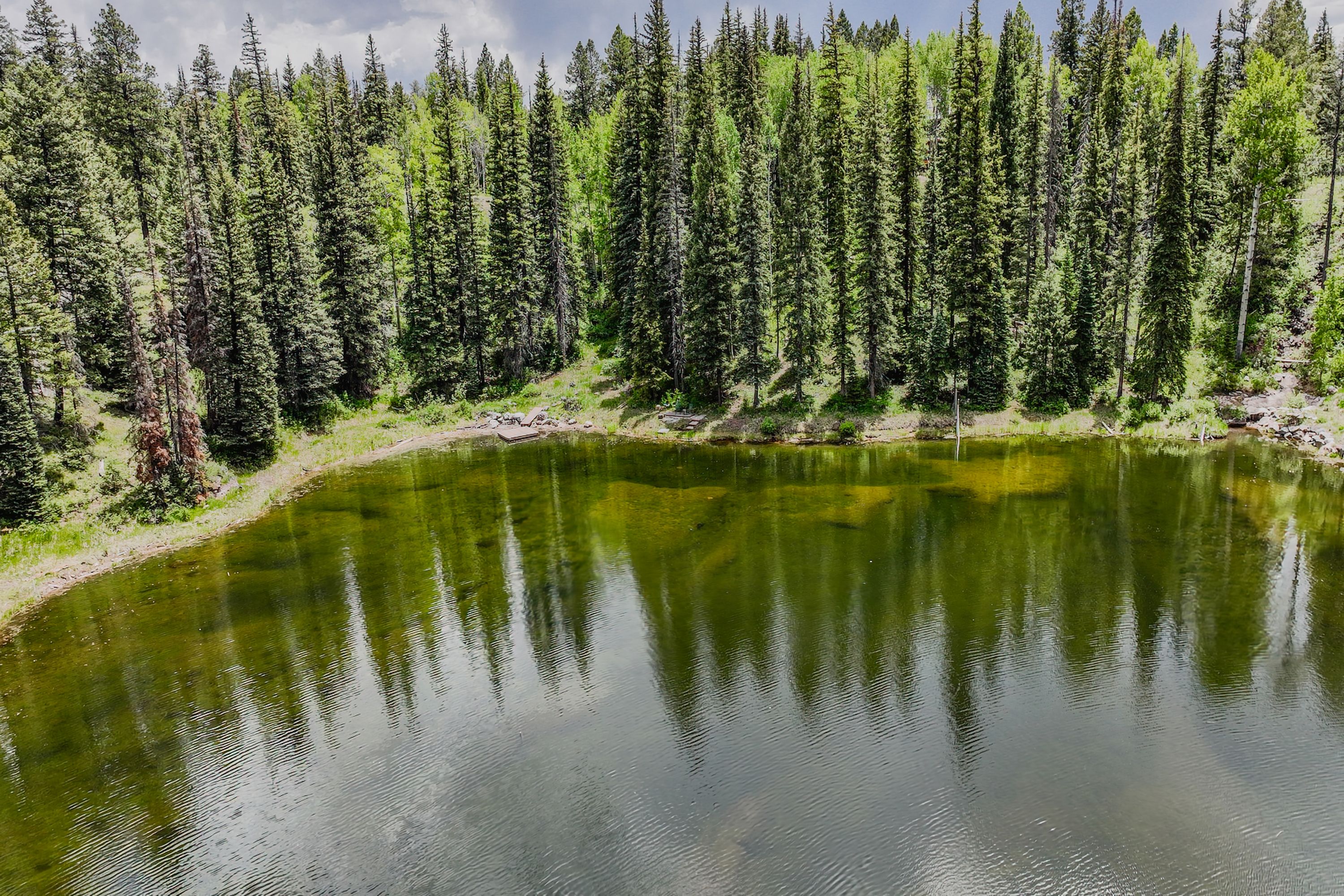  455 Pinnacle View Drive, Durango, CO 81301 - 物件實景