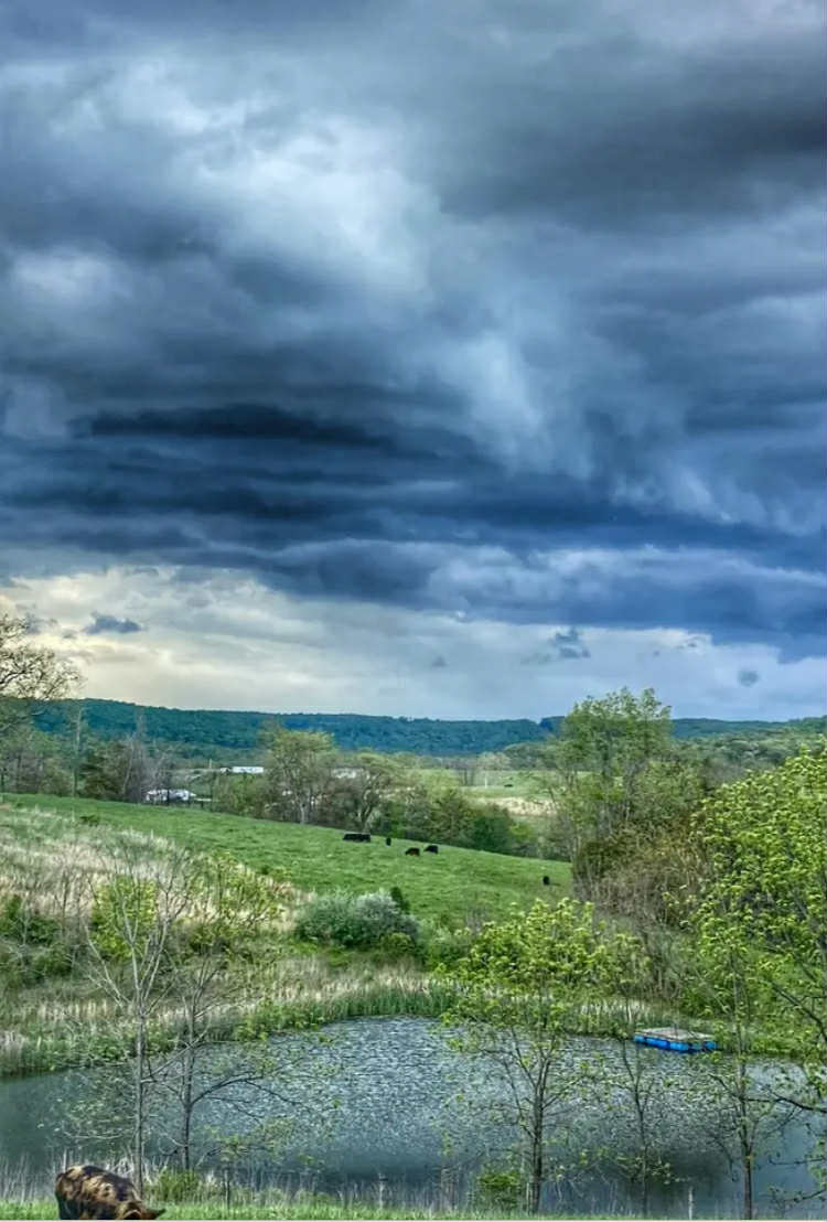 Hillsboro, Kentucky, 41049, United States, 3 Bedrooms Bedrooms, ,3 BathroomsBathrooms,Residential,For Sale,1984101