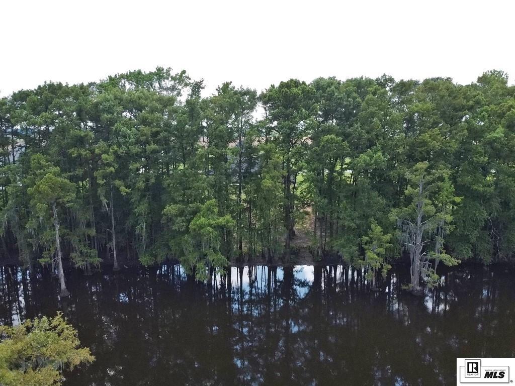 Monroe, Louisiana, 71203, United States, 4 Bedrooms Bedrooms, ,3 BathroomsBathrooms,Residential,For Sale,1906414