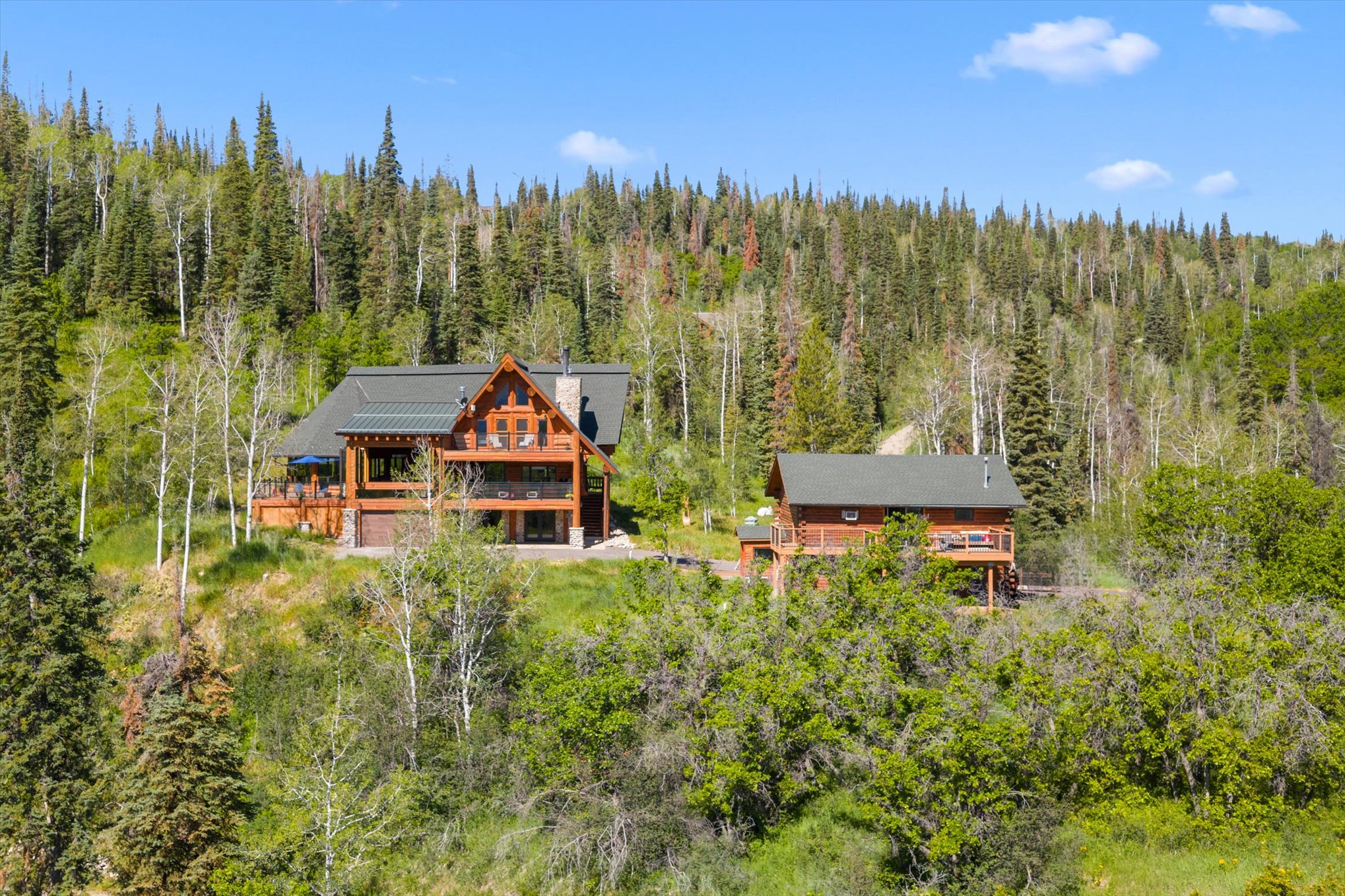  30232 Bear Trail, Steamboat Springs, CO 80487 - 物件實景
