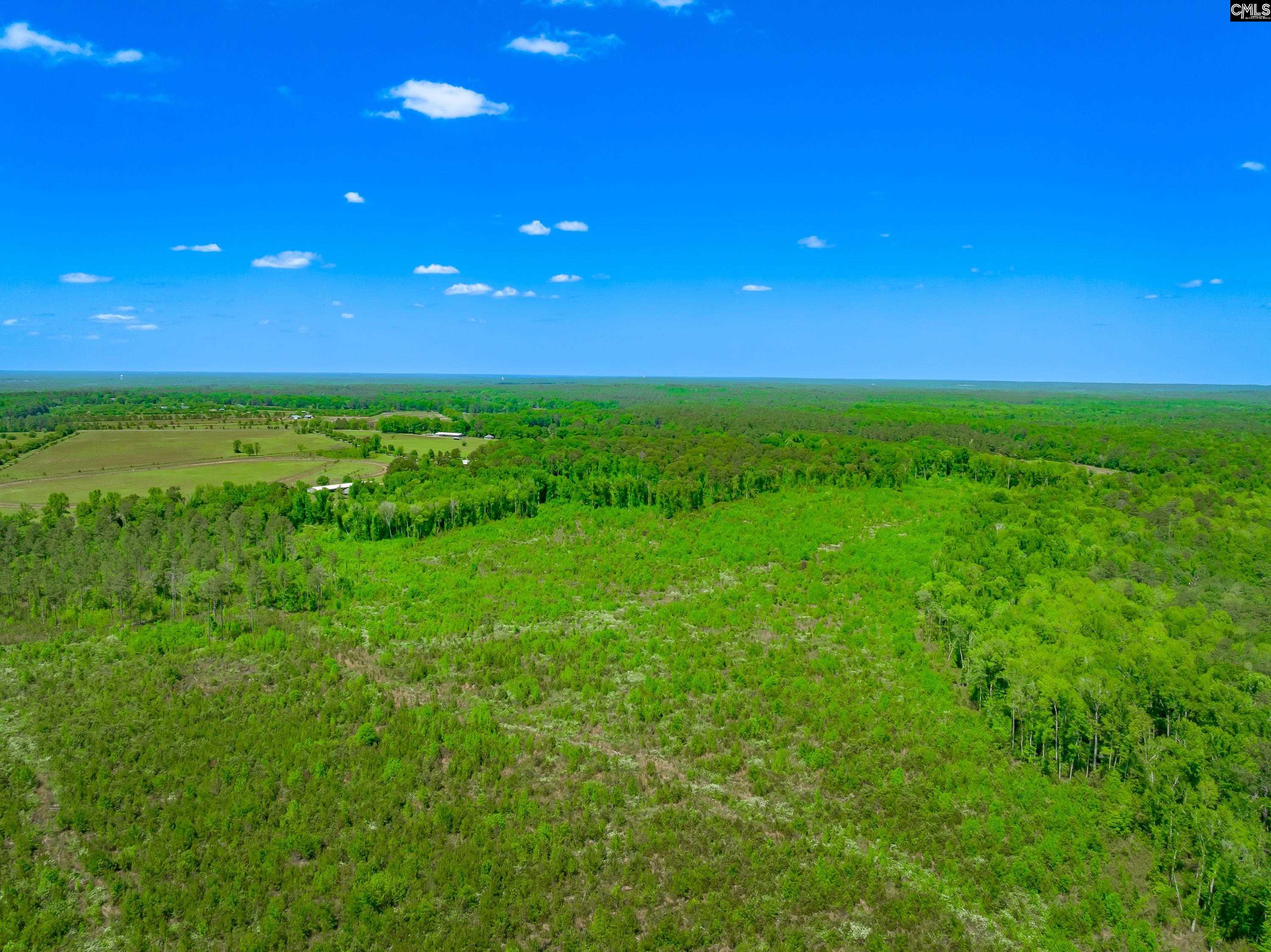  377 Sweet Street  Rembert, SC - 物件實景