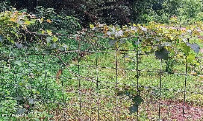 Englewood, Tennessee, 37329, United States, 2 Bedrooms Bedrooms, ,3 BathroomsBathrooms,Residential,For Sale,2002441