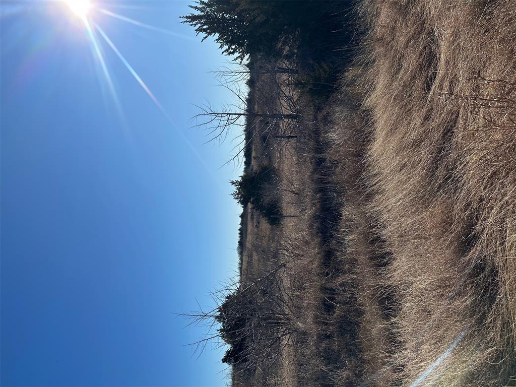 Meridian, Oklahoma, 73058, United States, ,Land,For Sale,2009056