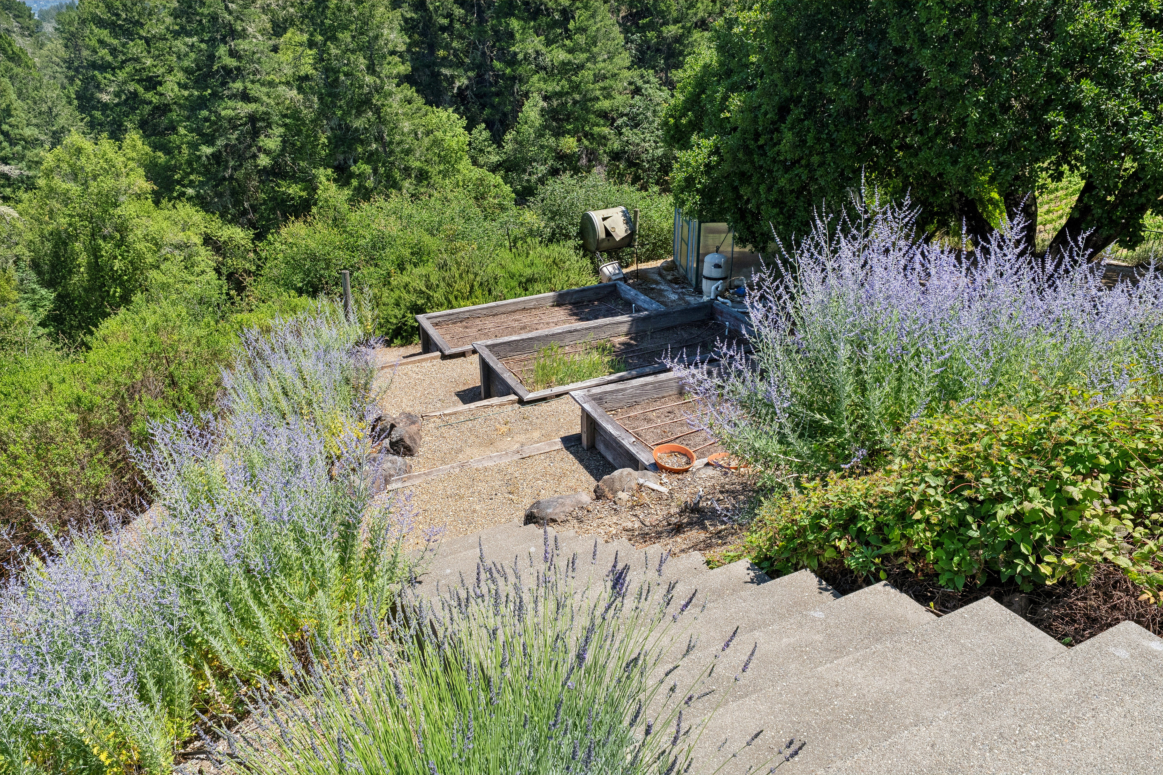  2355 West Dry Creek Road, Healdsburg, CA 95448 - 物件實景