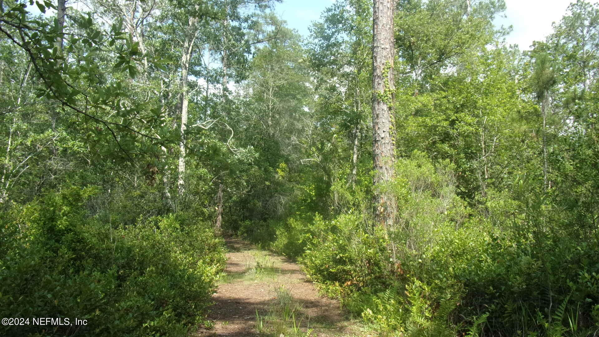 Palatka, Florida, 32177, United States, ,Residential,For Sale,1924559