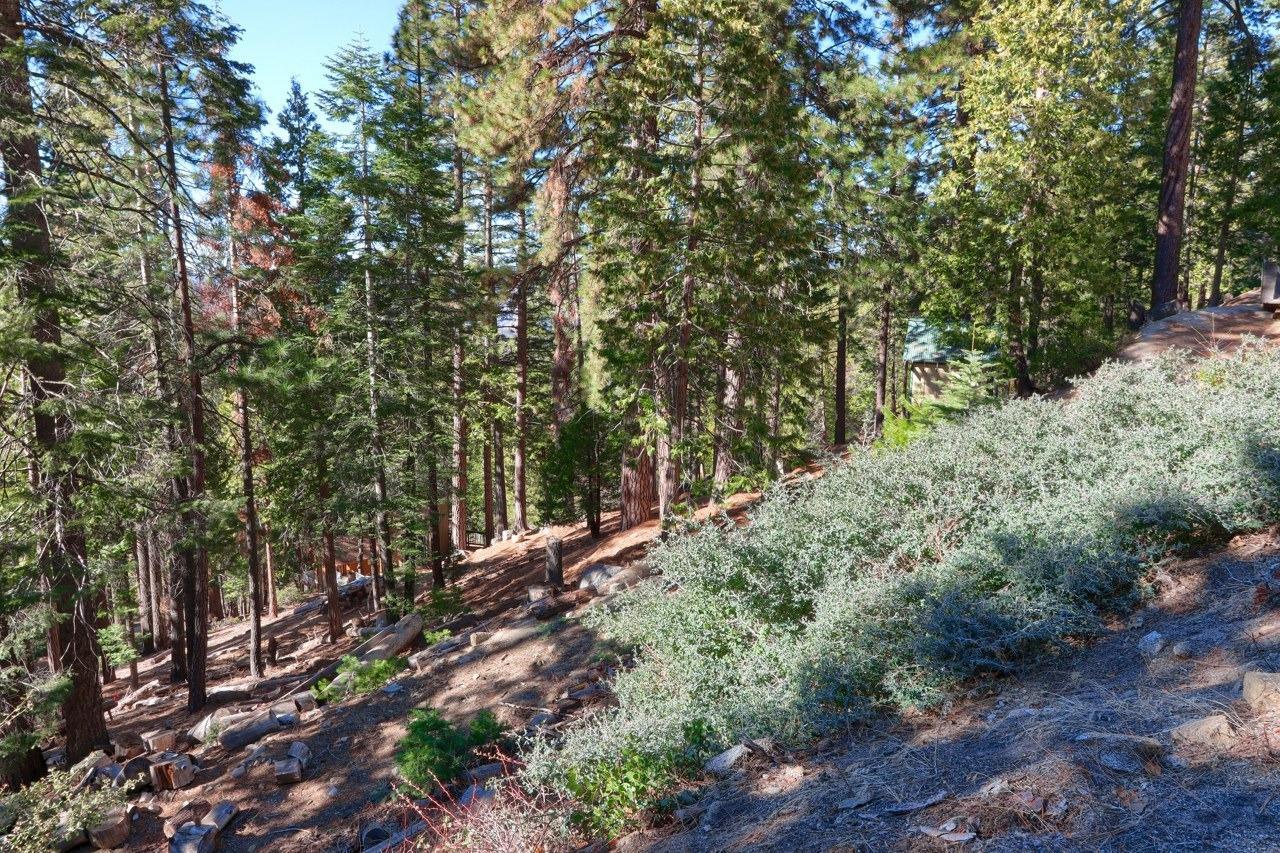 Yosemite West, California, 95389, United States, ,Residential,For Sale,1855046