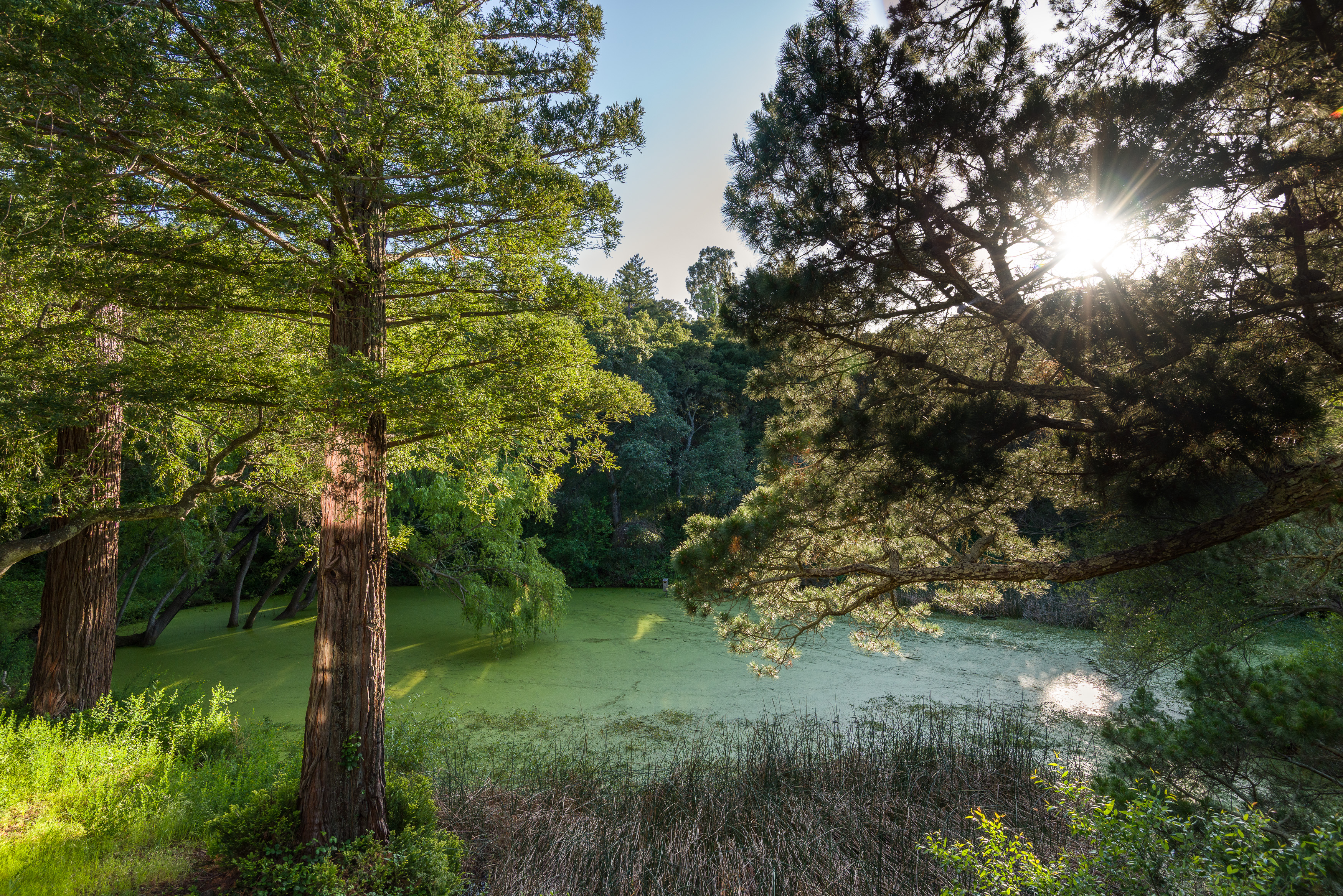  90 Hayfields Road, Portola Valley, CA 94028 - 物件實景