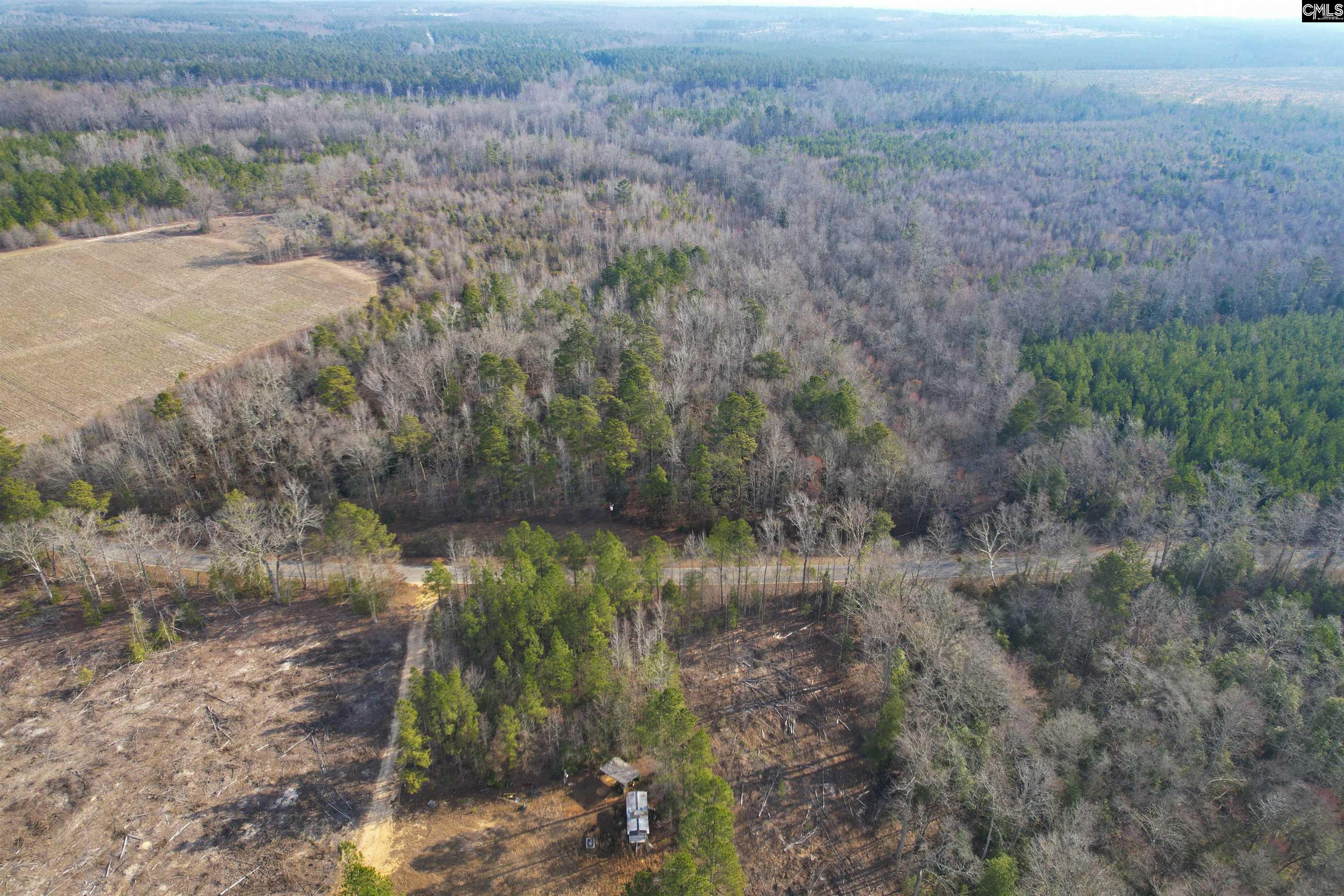 703 Neds Creek Road, Kershaw, South Carolina, 29067, United States, ,Land,For Sale,703 Neds Creek Road,1669372