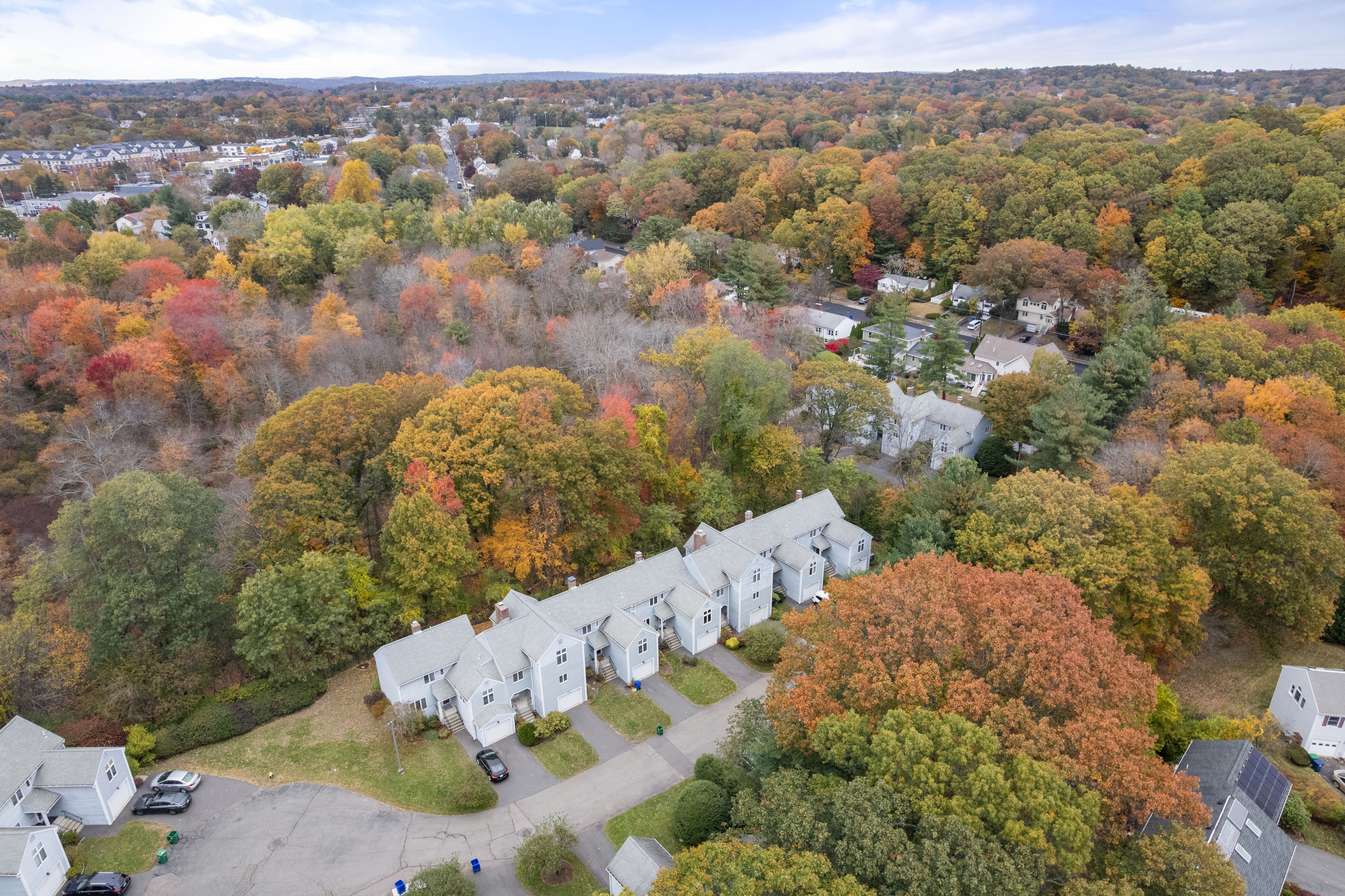  305 Winchester Street, Unit D, Newton, MA, 02461 - 物件實景