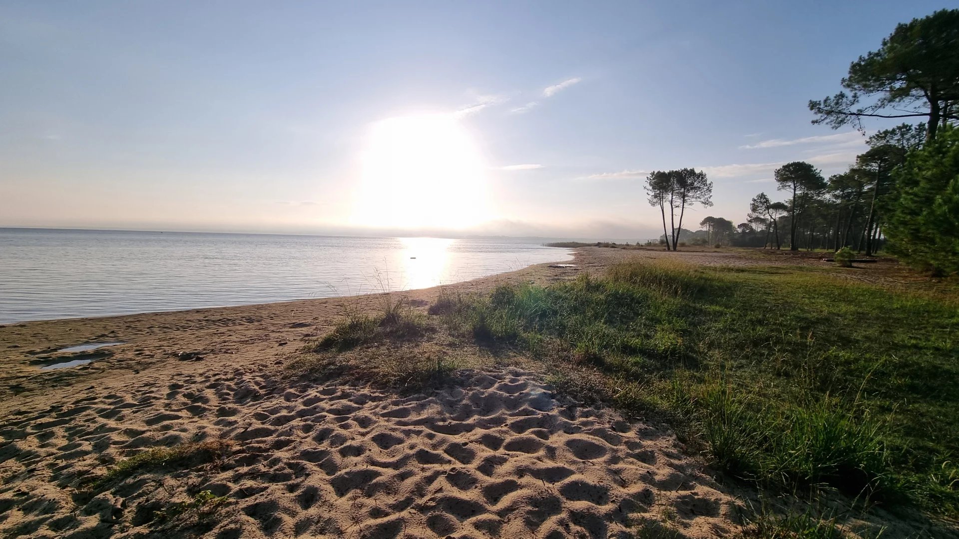 Biscarrosse, New Aquitaine, 40600, FR, 5 Bedrooms Bedrooms, ,8 BathroomsBathrooms,Residential,For Sale,1668952