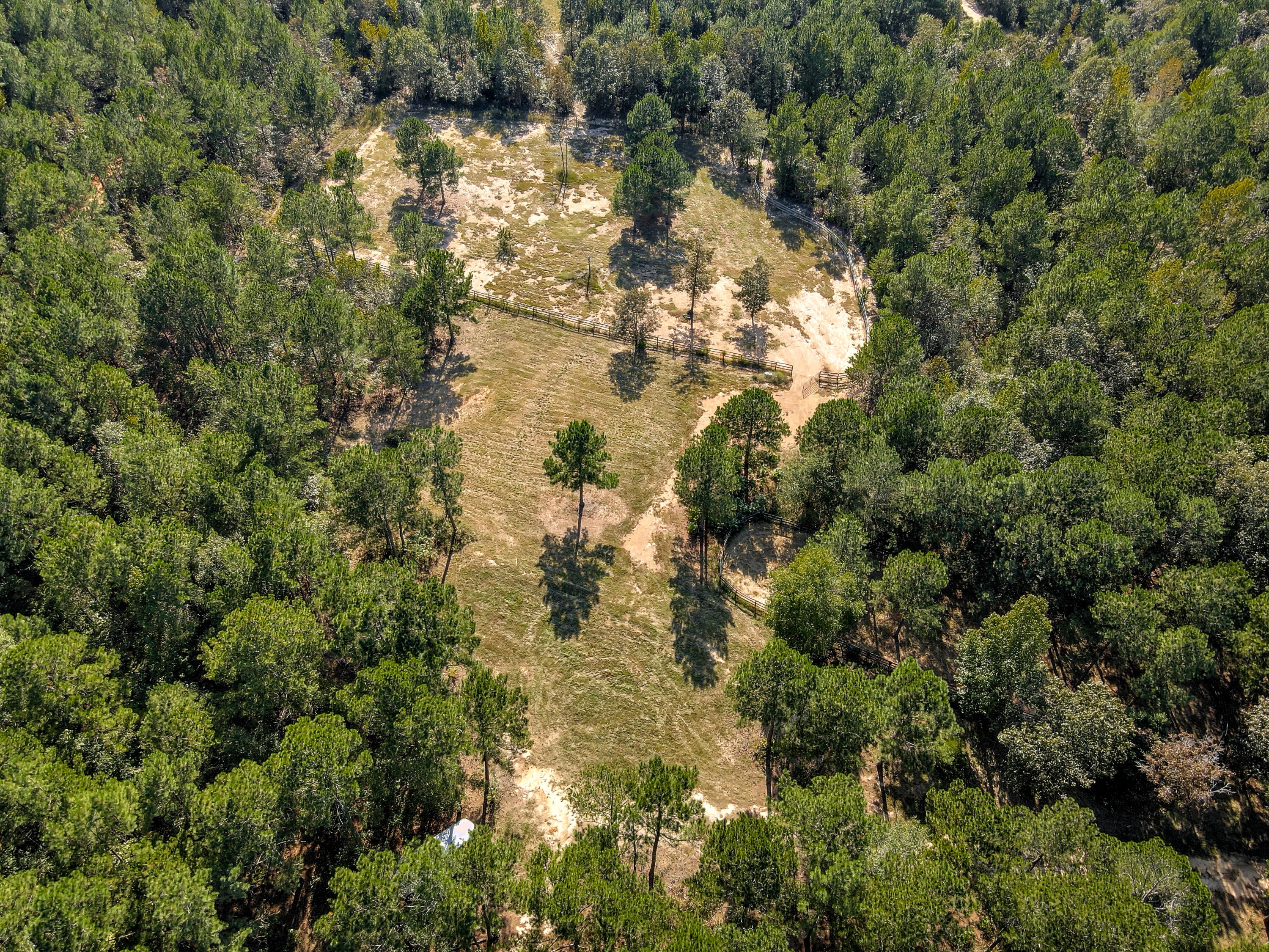 Wagener, South Carolina, 29164, United States, ,Land,For Sale,1969040