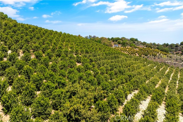 Temecula, California, 92590, United States, ,Land,For Sale,1988862