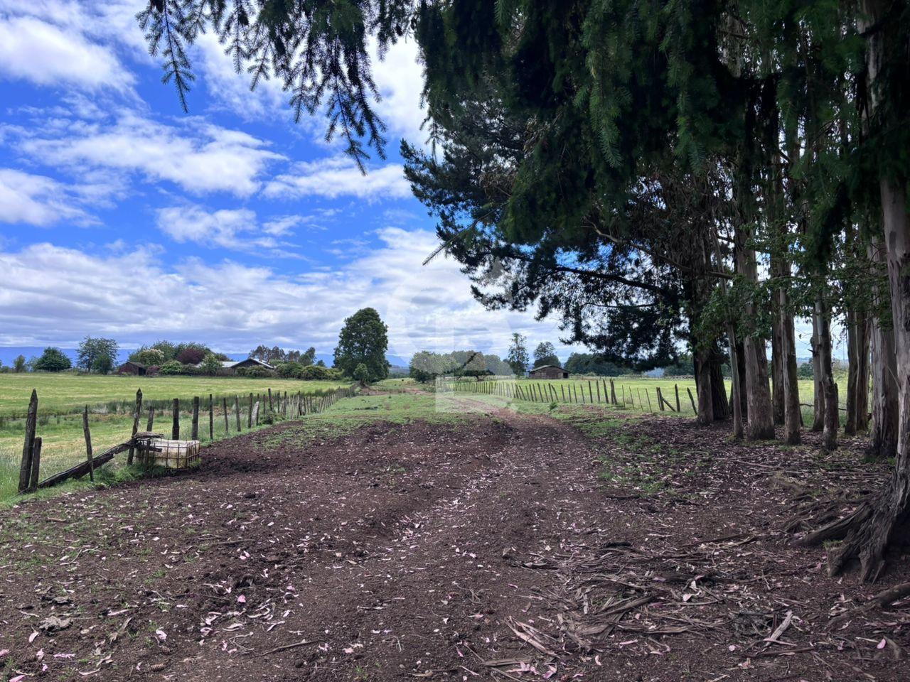 Fresia, Chile, ,Land,For Sale,2003048