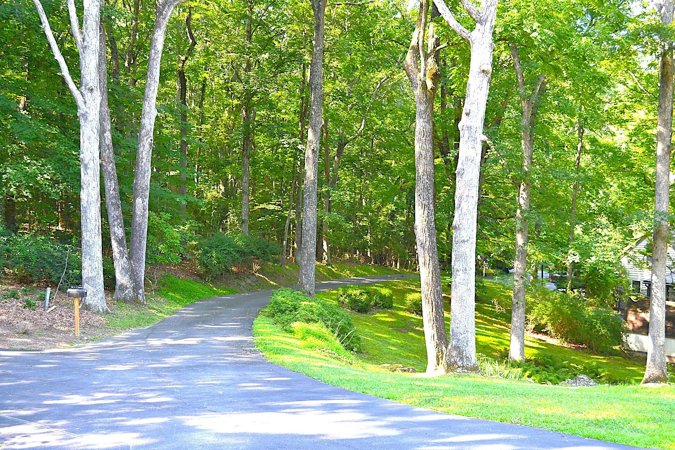 Lewisburg, West Virginia, 24901, United States, 6 Bedrooms Bedrooms, ,3 BathroomsBathrooms,Residential,For Sale,1940620