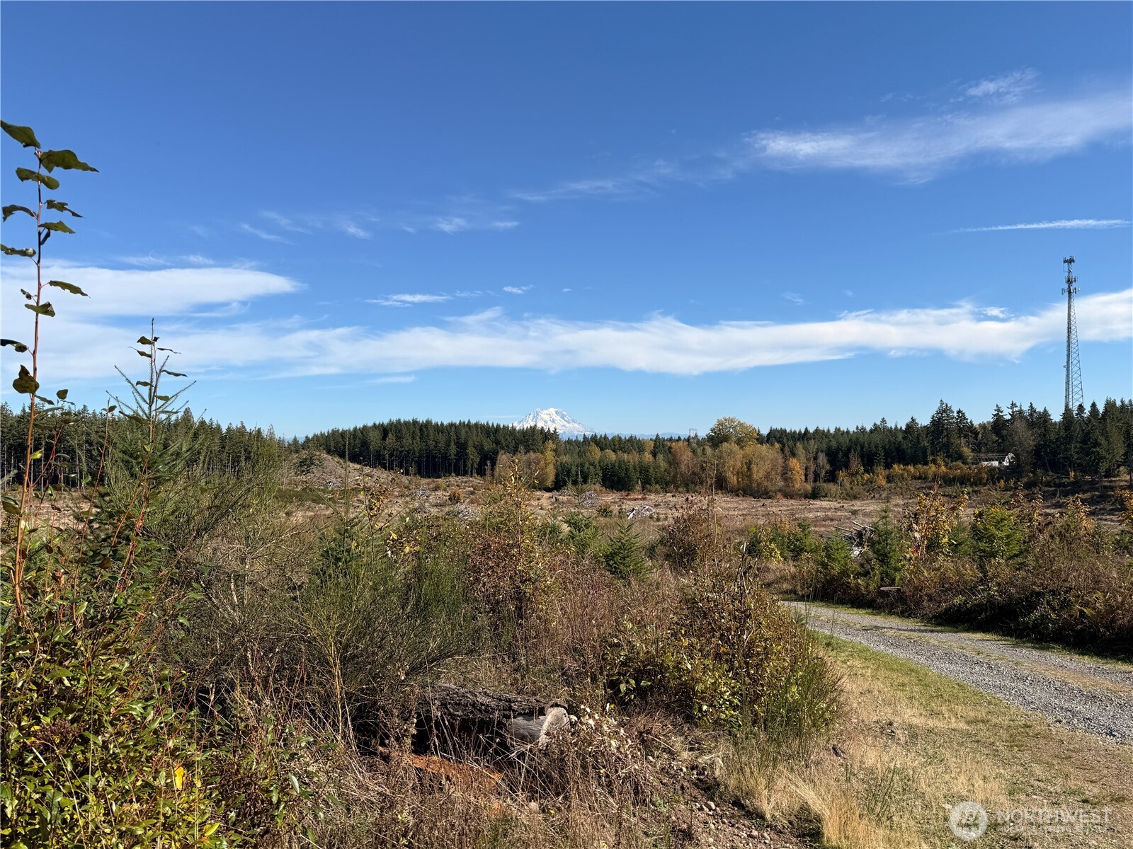Rainier, Washington, 98576, United States, ,Land,For Sale,1998419