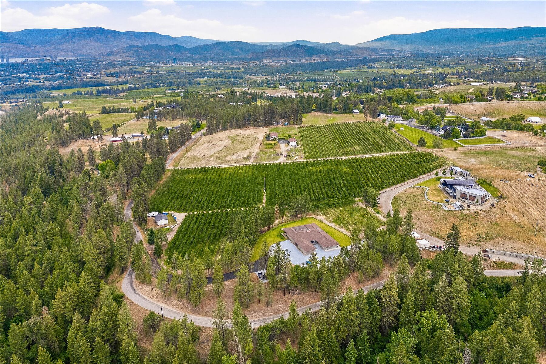 12.81 Acre Orchard - 物件實景
