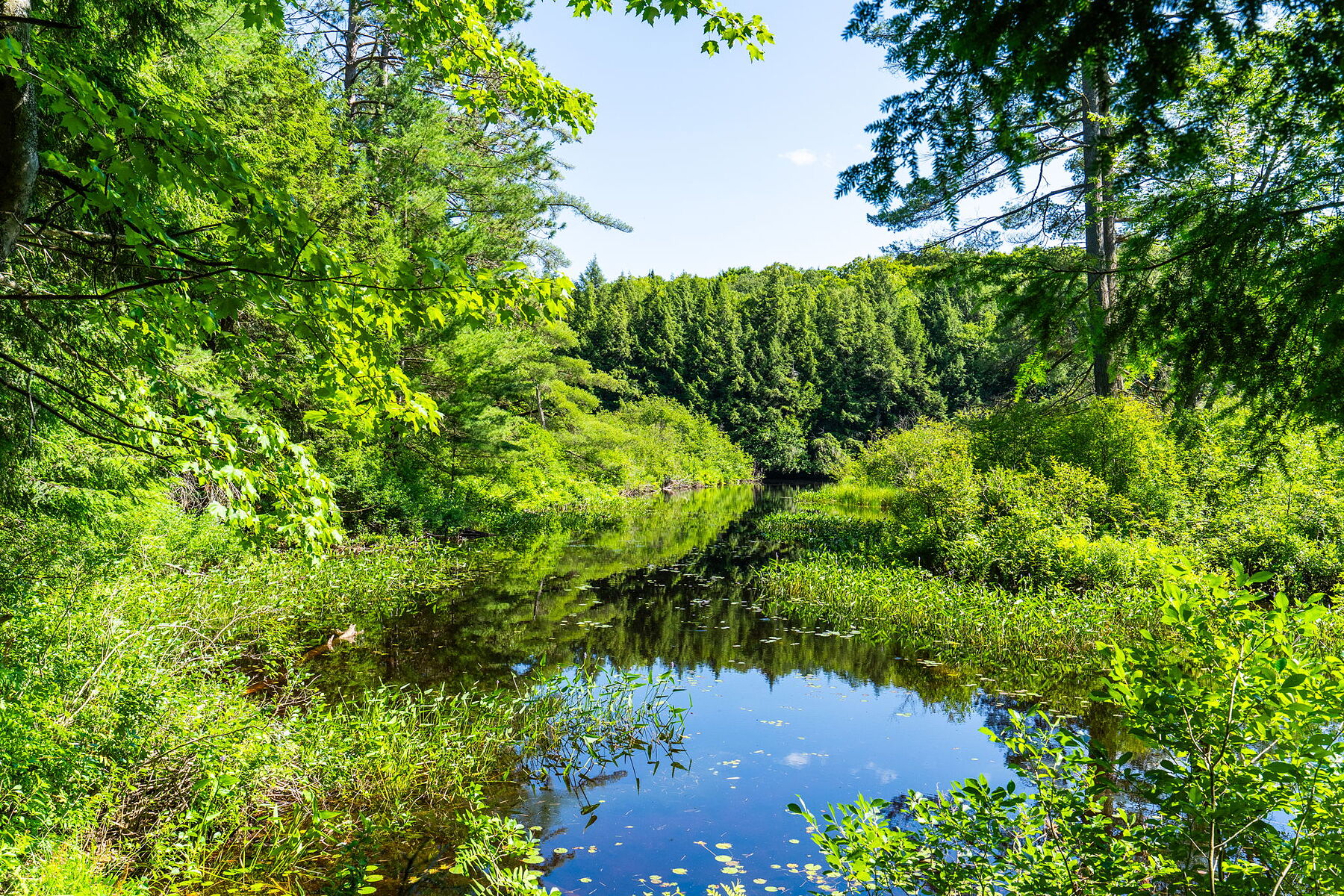  Buck River Huntsville - 物件實景