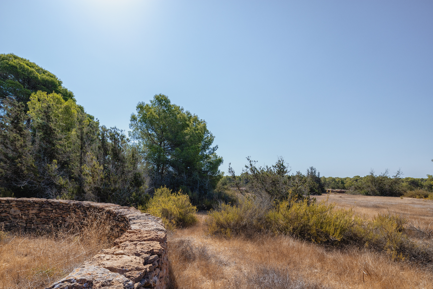  Country house to renovate in Formentera - 物件實景