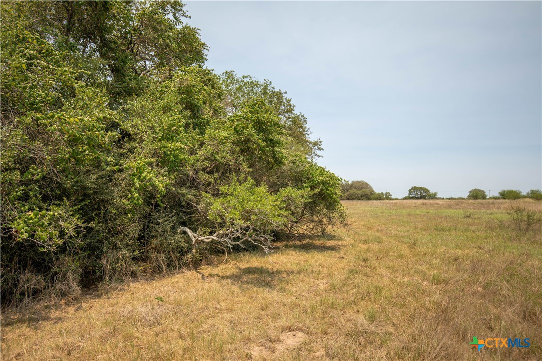 Cuero, Texas, 77954, United States, ,Residential,For Sale,1950887