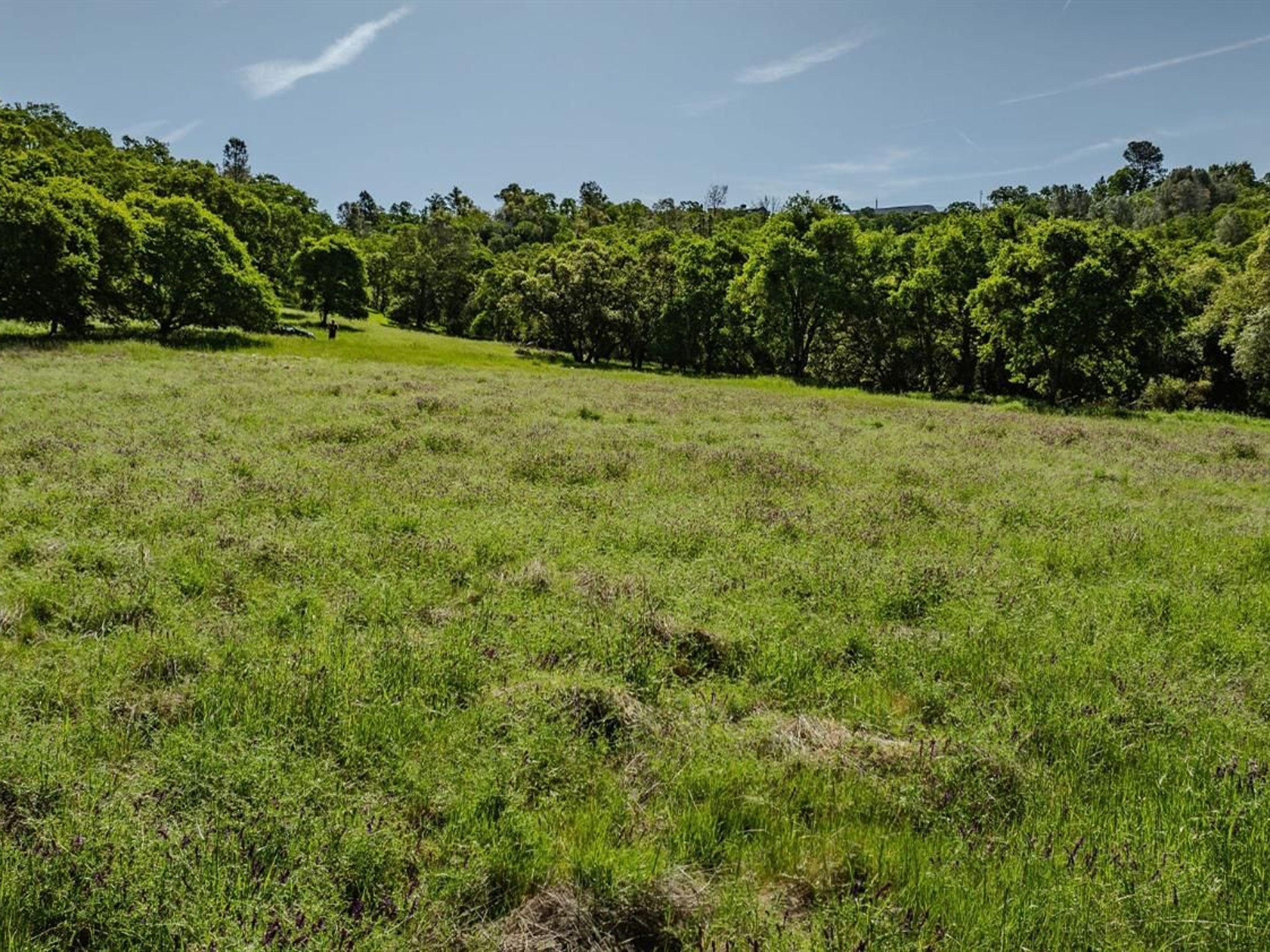  10865 Sunset Drive, Sutter Creek, CA 95685 - 物件實景