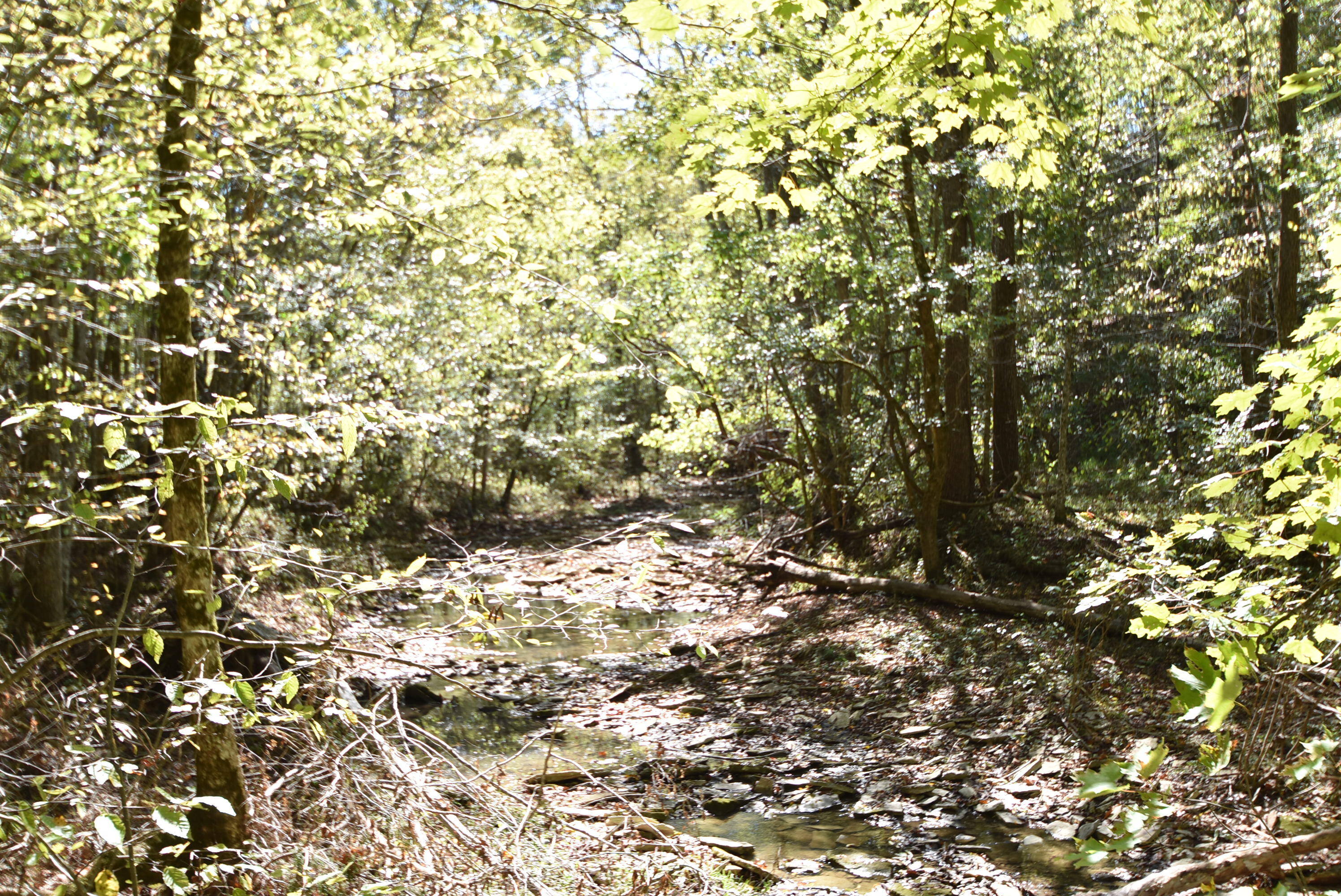 Willisburg, Kentucky, 40078, United States, 4 Bedrooms Bedrooms, ,1 BathroomBathrooms,Residential,For Sale,1962831