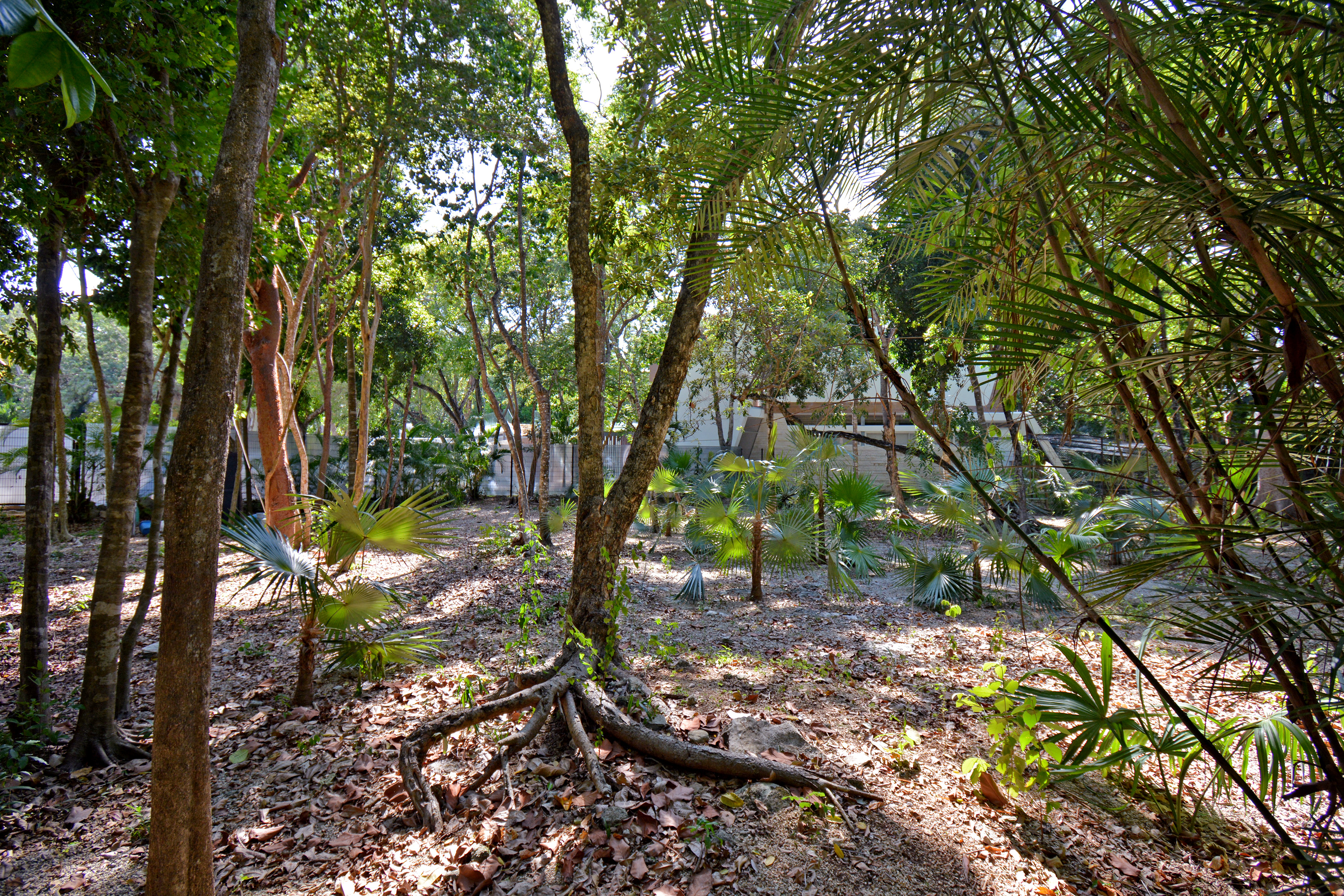  RESIDENTIAL LOT - 物件實景