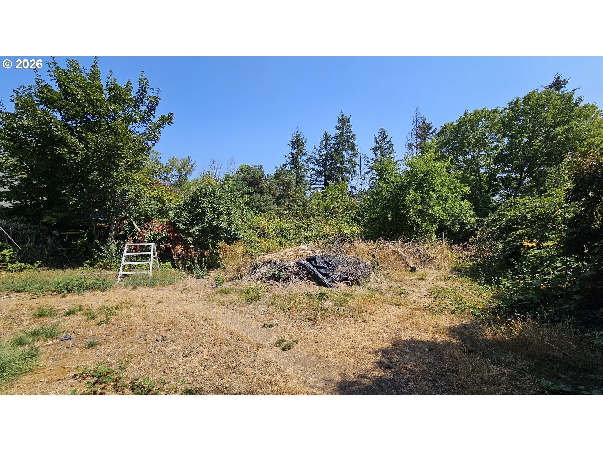 Dickey Prairie Rd, Molalla, OR 97038 #1