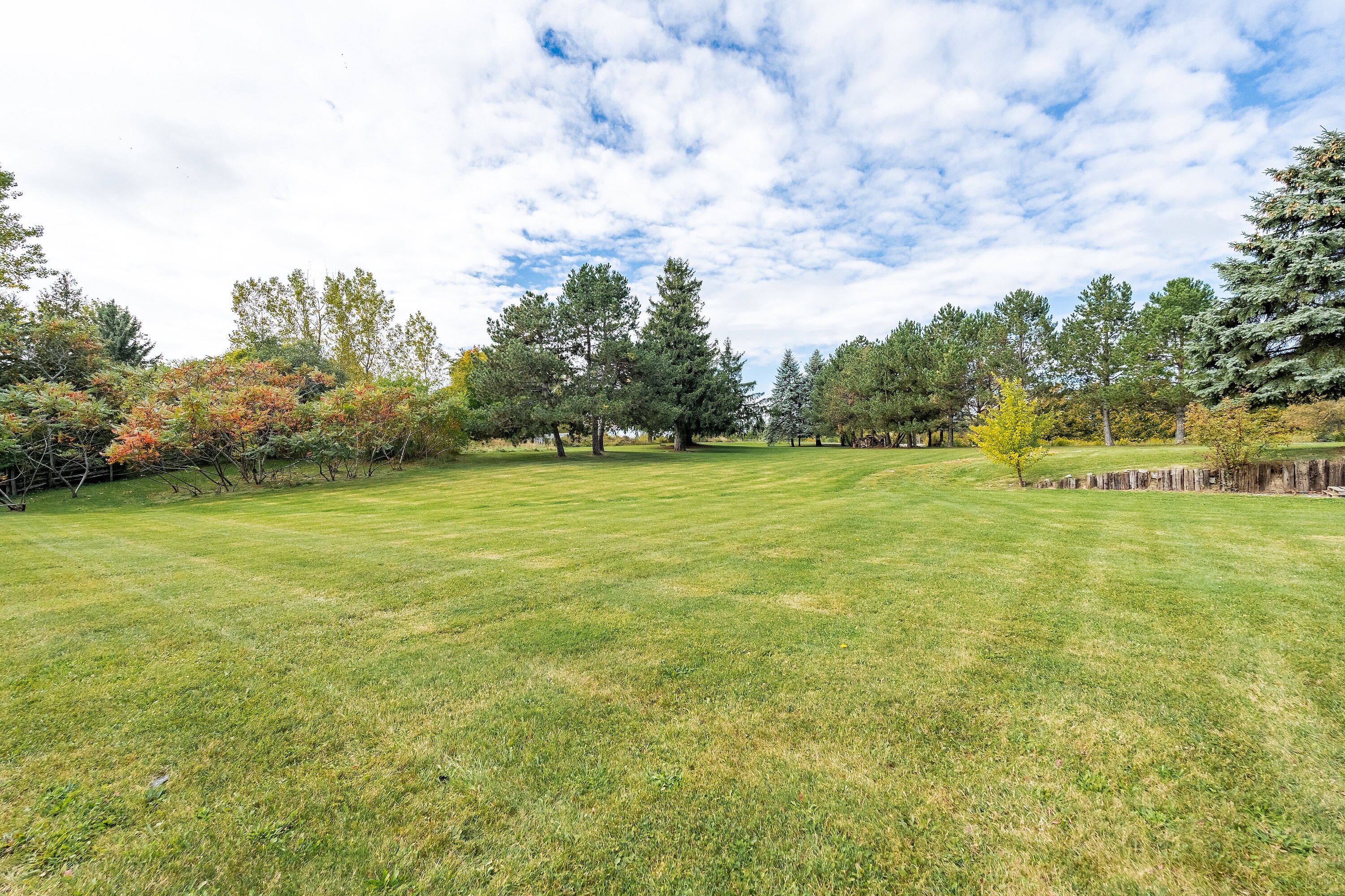 10+ Acre King Property - 物件實景
