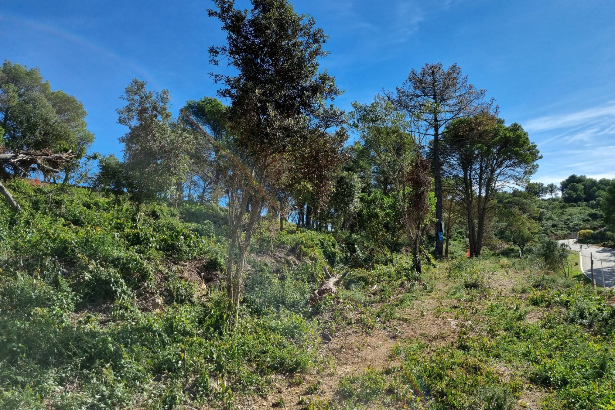  Fantastic south facing plot in the village of Begur - 物件實景
