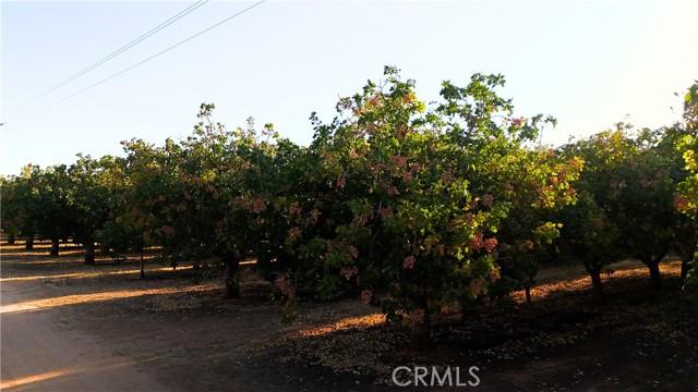 Madera, California, 93638, United States, ,Residential,For Sale,1941282