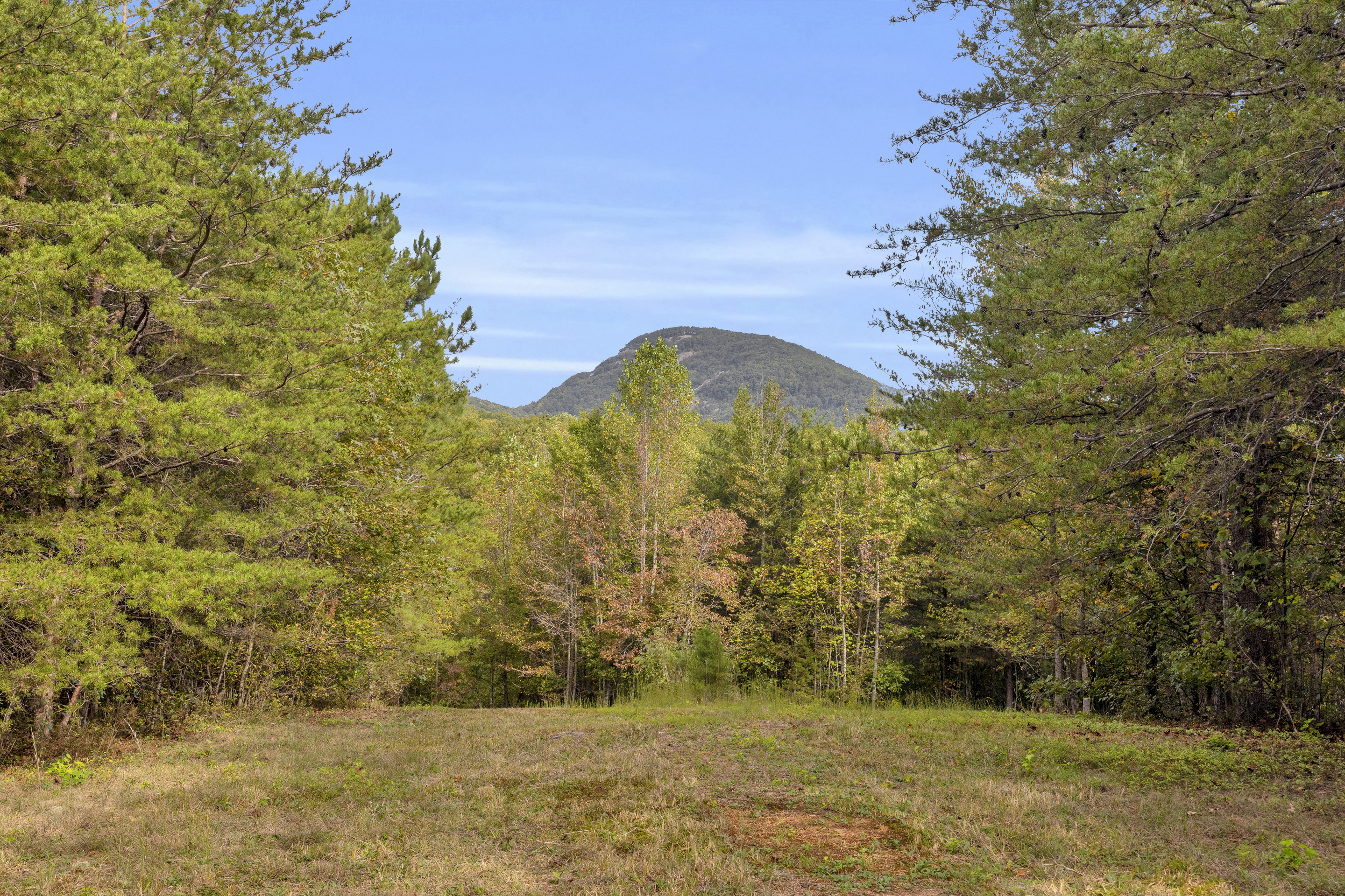 Cleveland, Georgia, 30528, United States, 3 Bedrooms Bedrooms, ,2 BathroomsBathrooms,Residential,For Sale,1979350