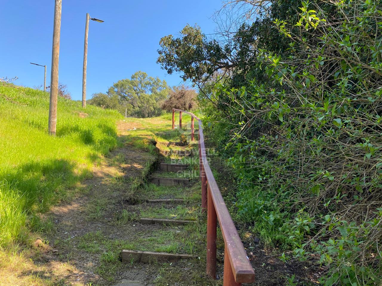 Limache, Chile, 5 Bedrooms Bedrooms, ,3 BathroomsBathrooms,Residential,For Sale,1959134