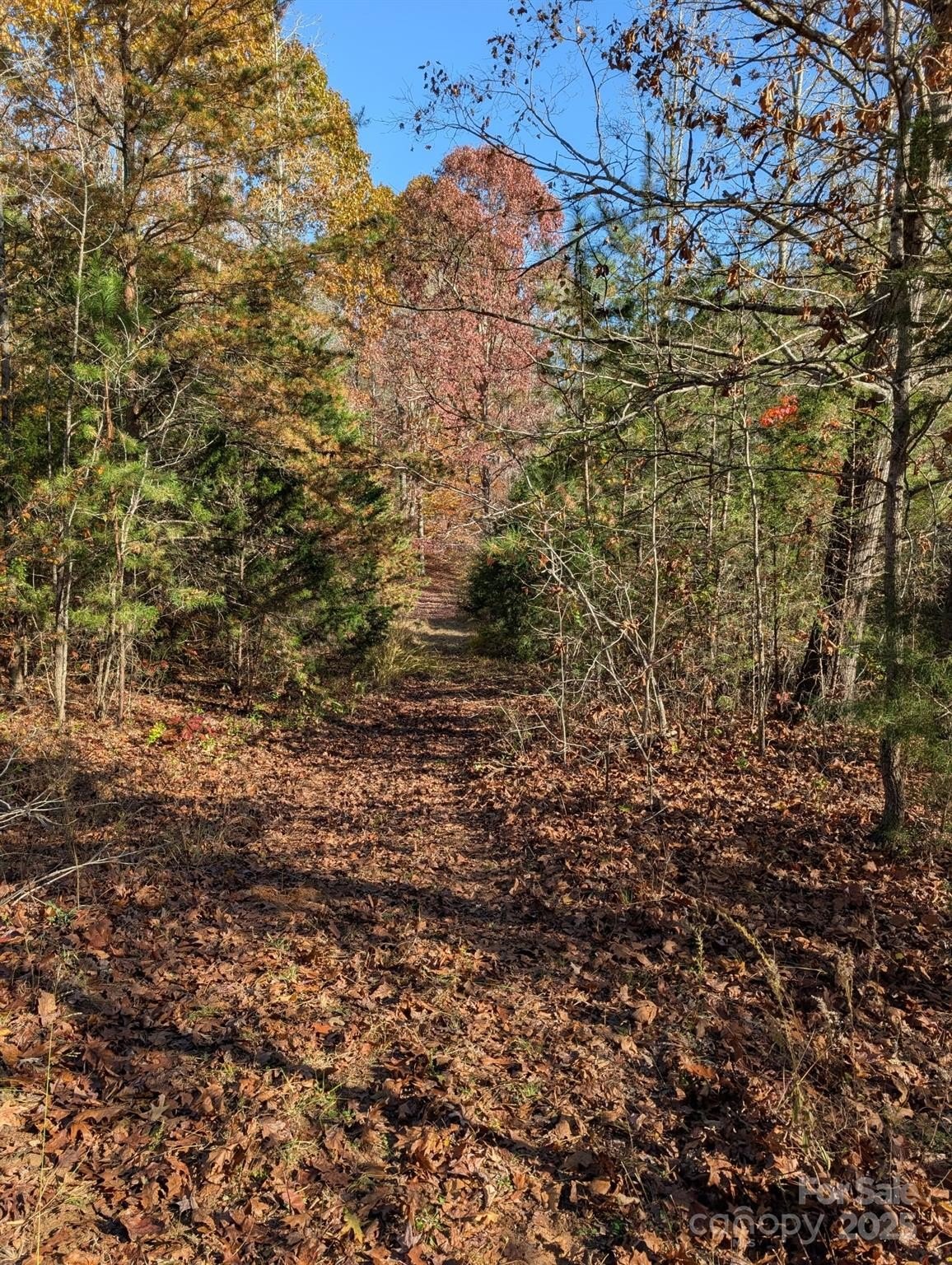Salisbury, North Carolina, 28147, United States, ,Land,For Sale,1996519