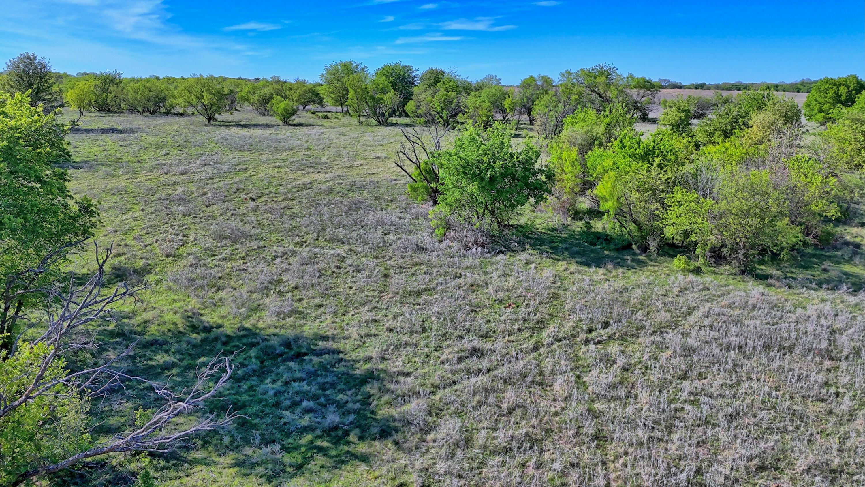  180 +/- Acre Multi-use North Texas Ranch - 物件實景