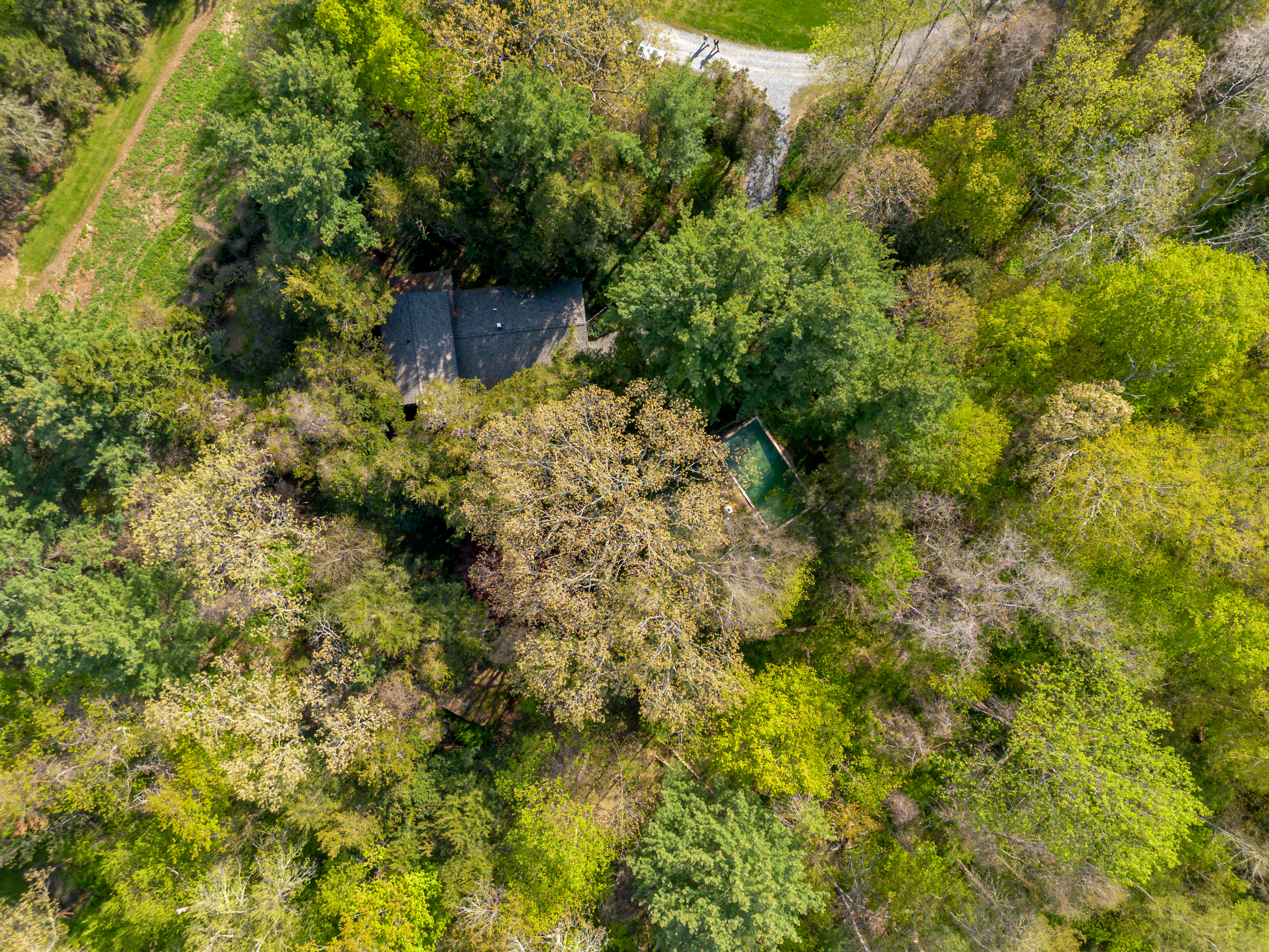  5 Bedroom Home on 2.9 Private Acres - 物件實景