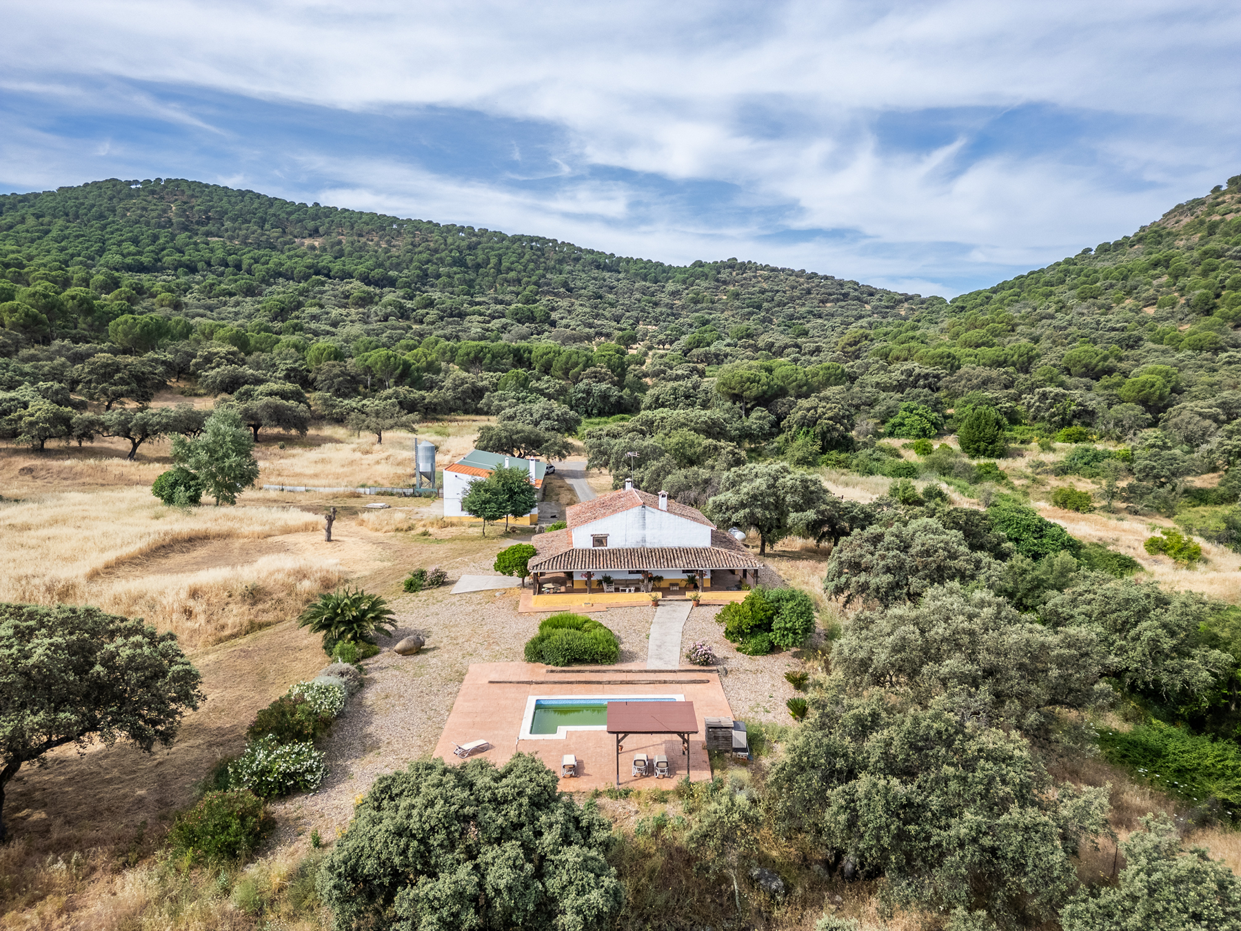  Recreational and hunting estate in the Sierra de Córdoba - 物件實景
