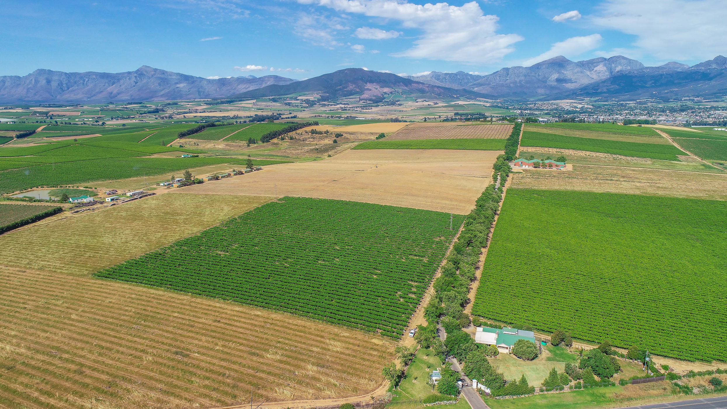  Wellington Export Farm - 物件實景