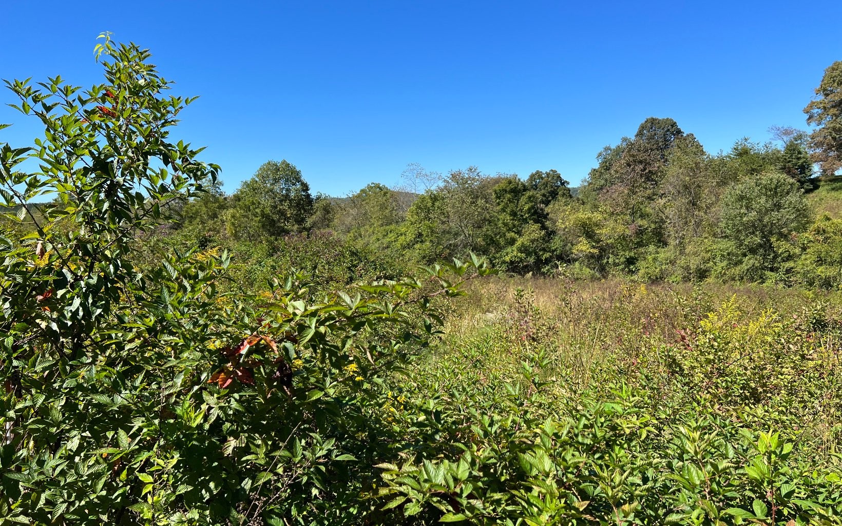 Hayesville, North Carolina, 28904, United States, ,Residential,For Sale,1943293
